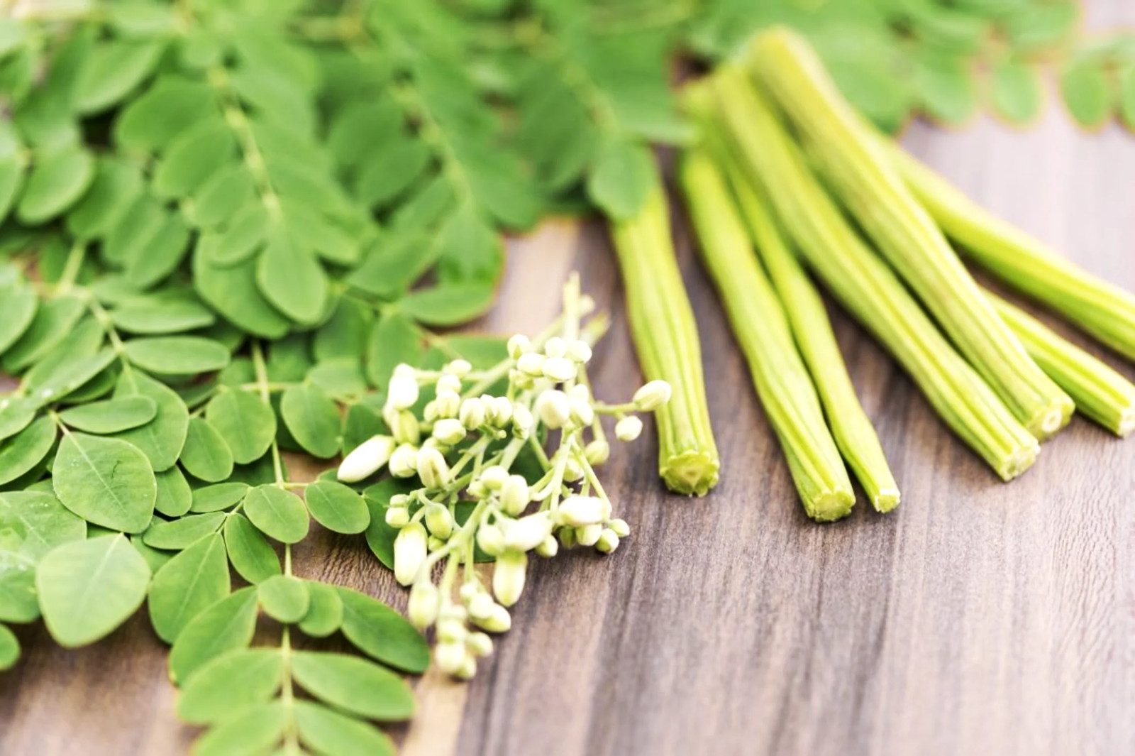 Moringa Tree Seeds | M. Oleifera Drumstick Horseradish Pods Indian Seeds 2025