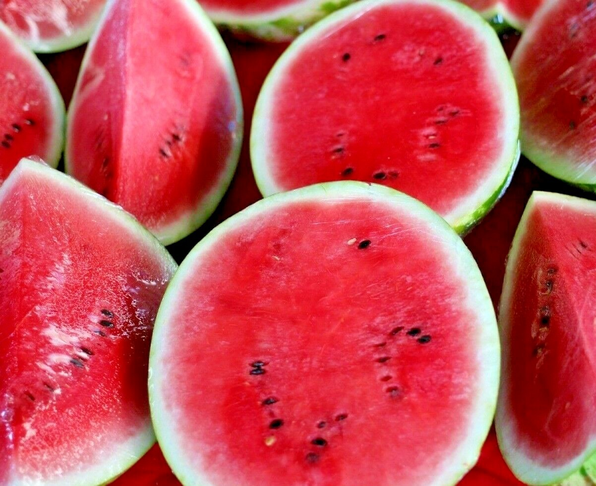 50+ SEEDS SUGAR BABY WATERMELON SUPER SWEET FRUIT HEIRLOOM NON-GMO MELON USA