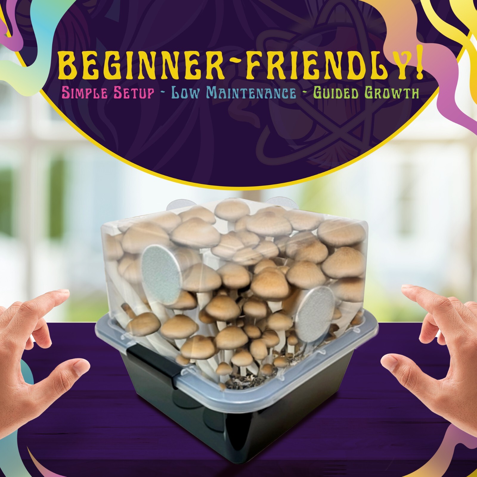 Small Beginners Mushroom Grow Kit | Indoor Grow Kit w/ Bulk Substrate