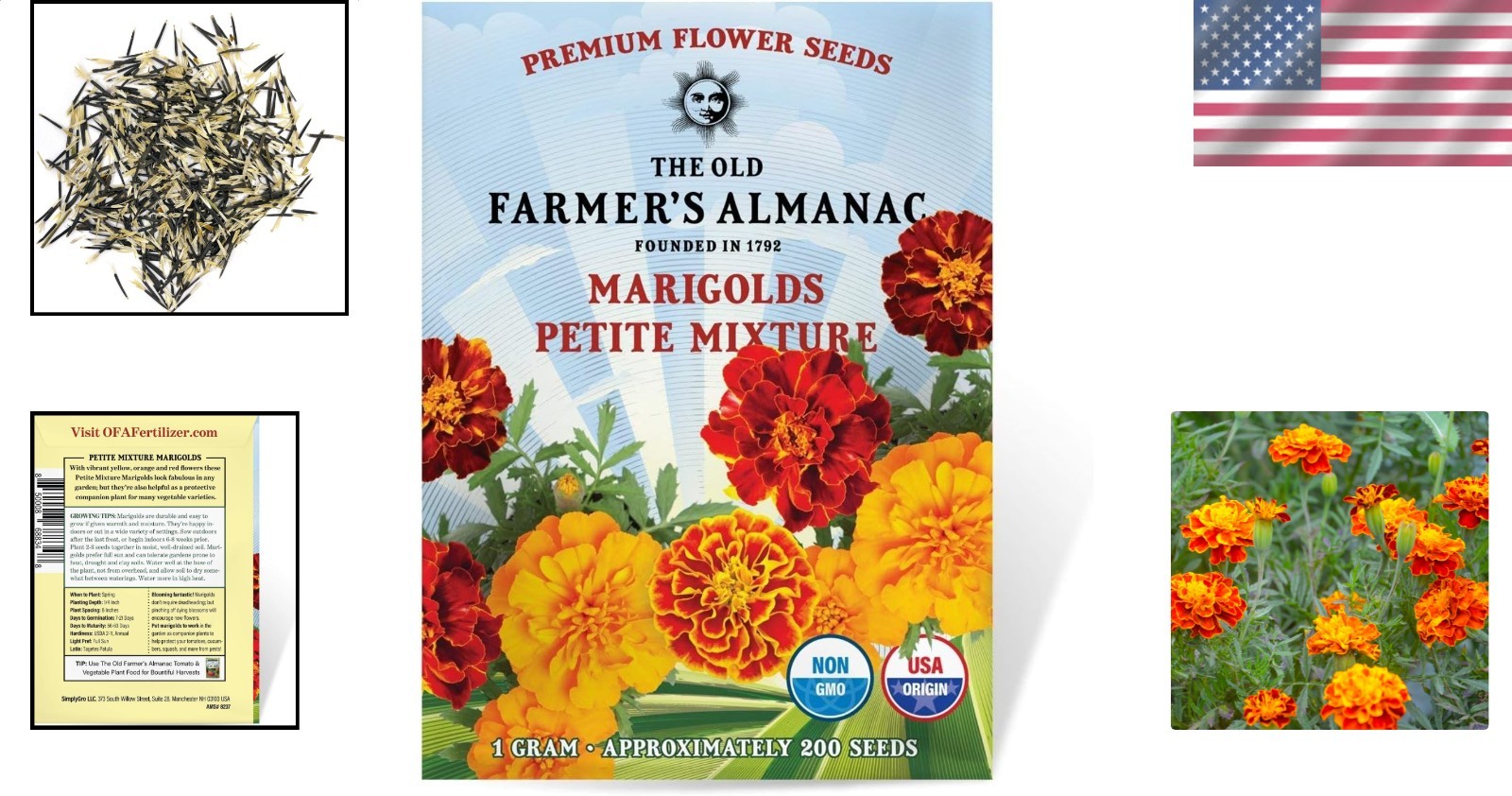 Orange Red Yellow Marigold Seeds – Easy Grow Fragrant Pollinator Attractor