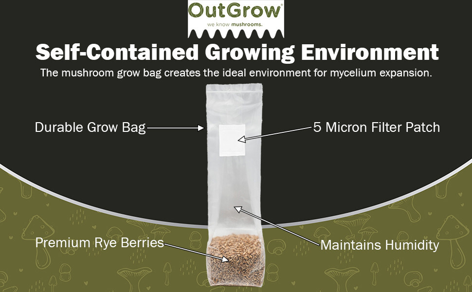 Sterilized Rye Berry Mushroom Substrate (6 x 1lb bags)