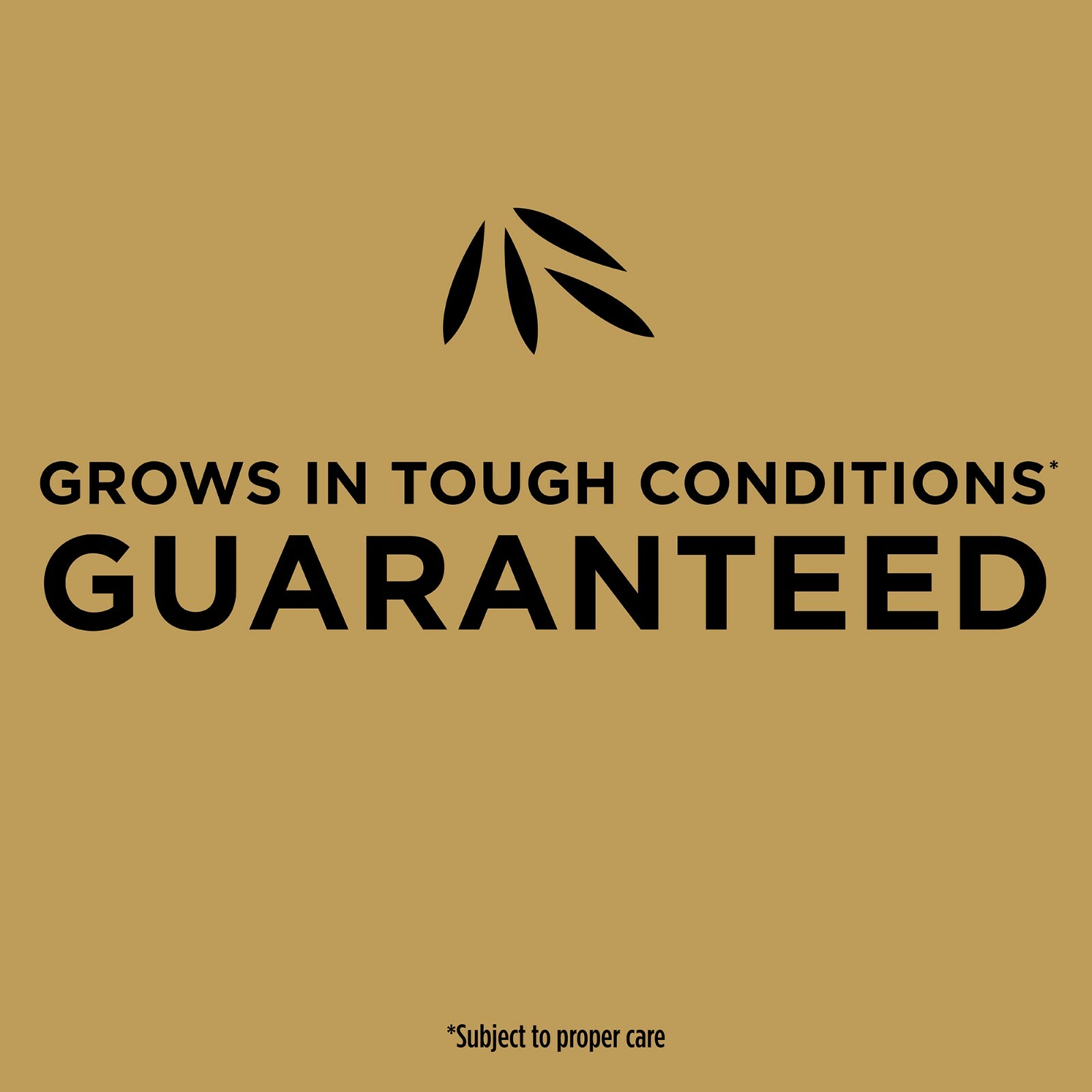 Scotts EZ Seed Patch & Repair Centipede Grass 20 lbs. Covers up to 445 sq.ft.