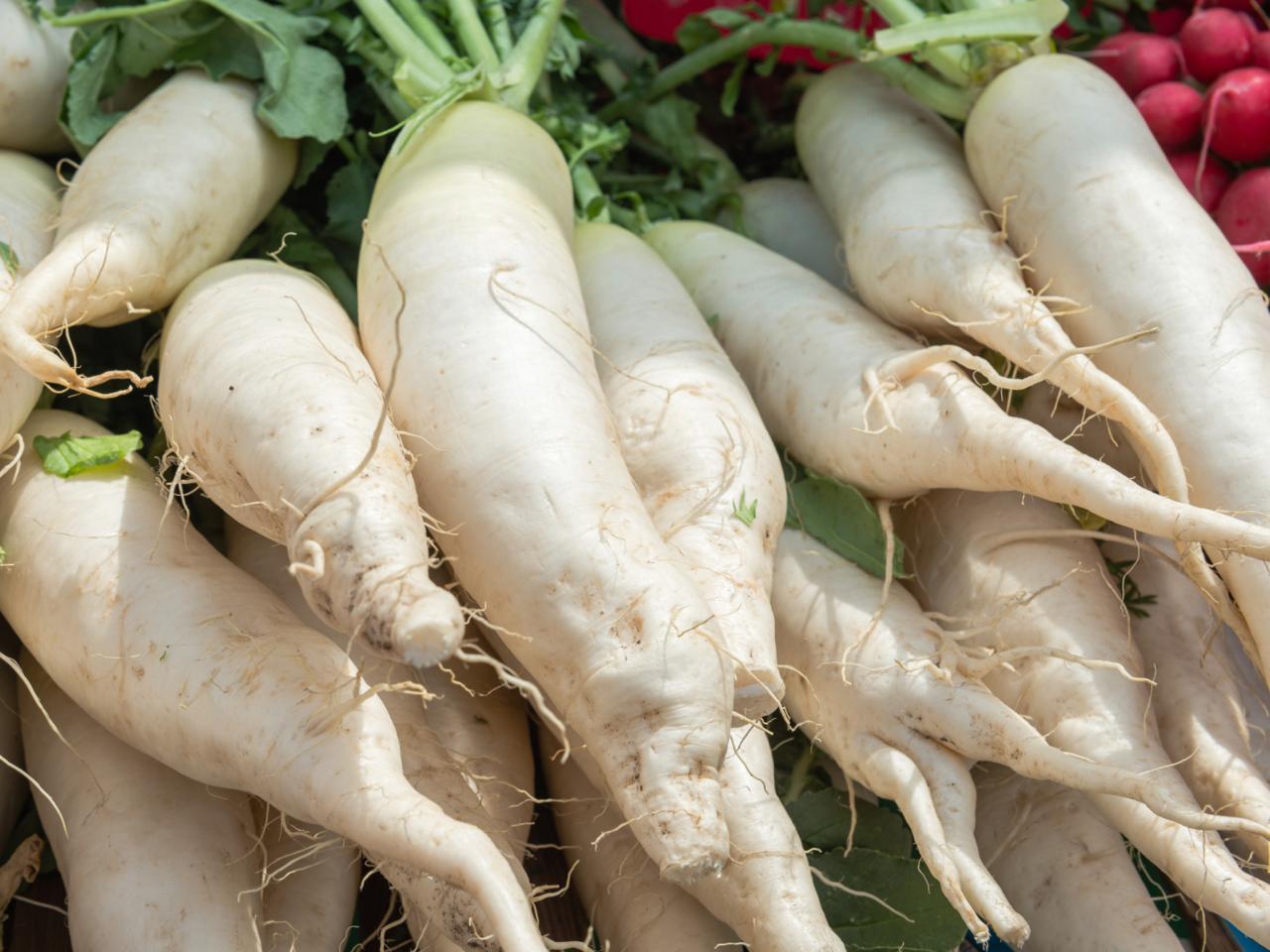 White Icicle Radish Seeds, Mini Daikon, NON-GMO, Variety Sizes Sold, FREE SHIP