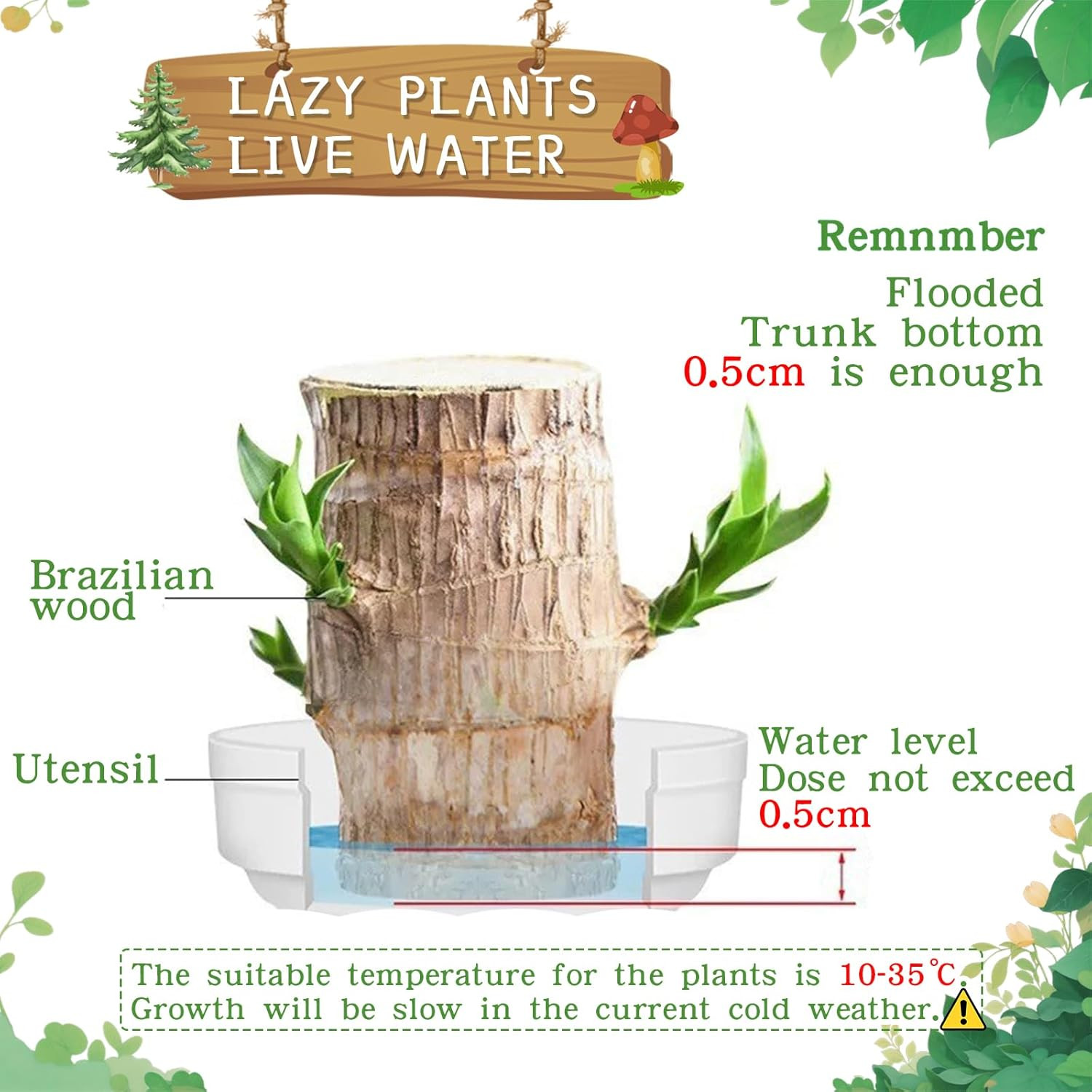 Brazilian Lucky Wood Plant,Fortune Brazil Wood Potted Plant with Mushroom House