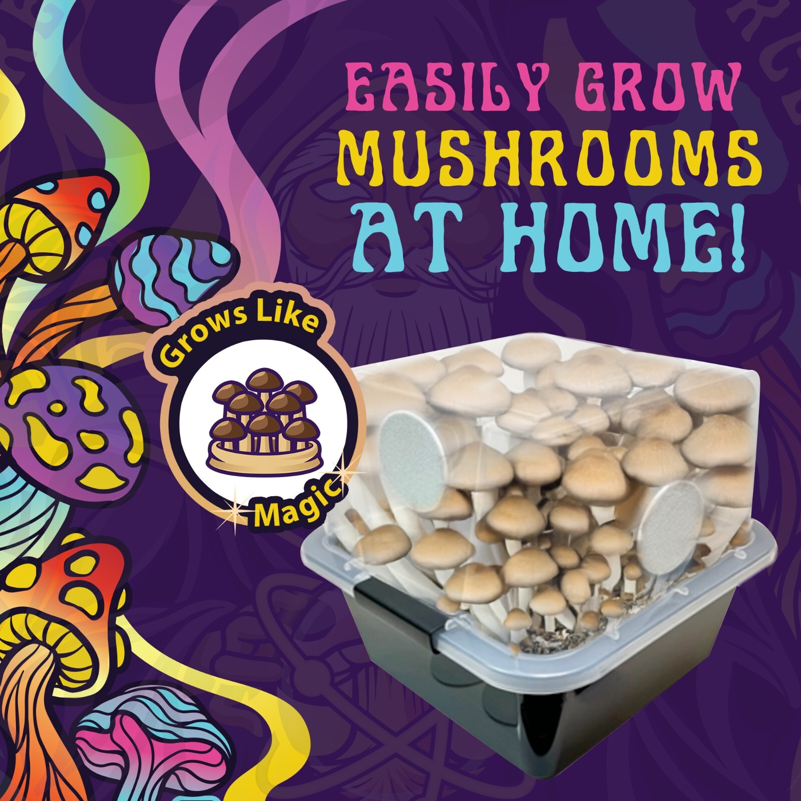 Small Beginners Mushroom Grow Kit | Indoor Grow Kit w/ Bulk Substrate