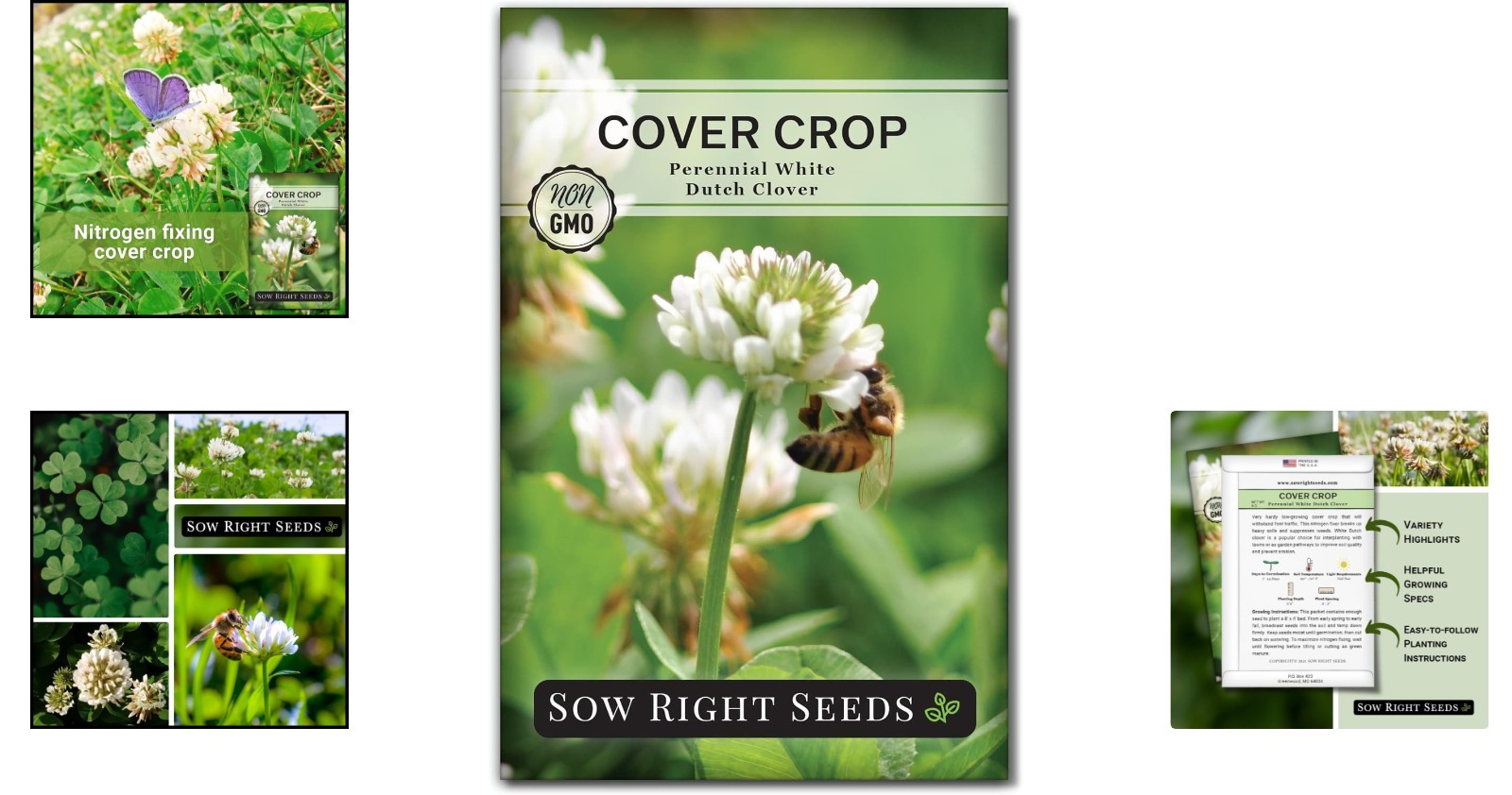 Non-GMO White Dutch Clover Seeds – 1500 Count for Sustainable Gardens