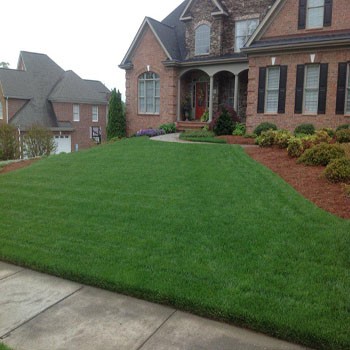 50 LBS – OptiGrowth Coated Combat Extreme&trade; Southern Zone Grass