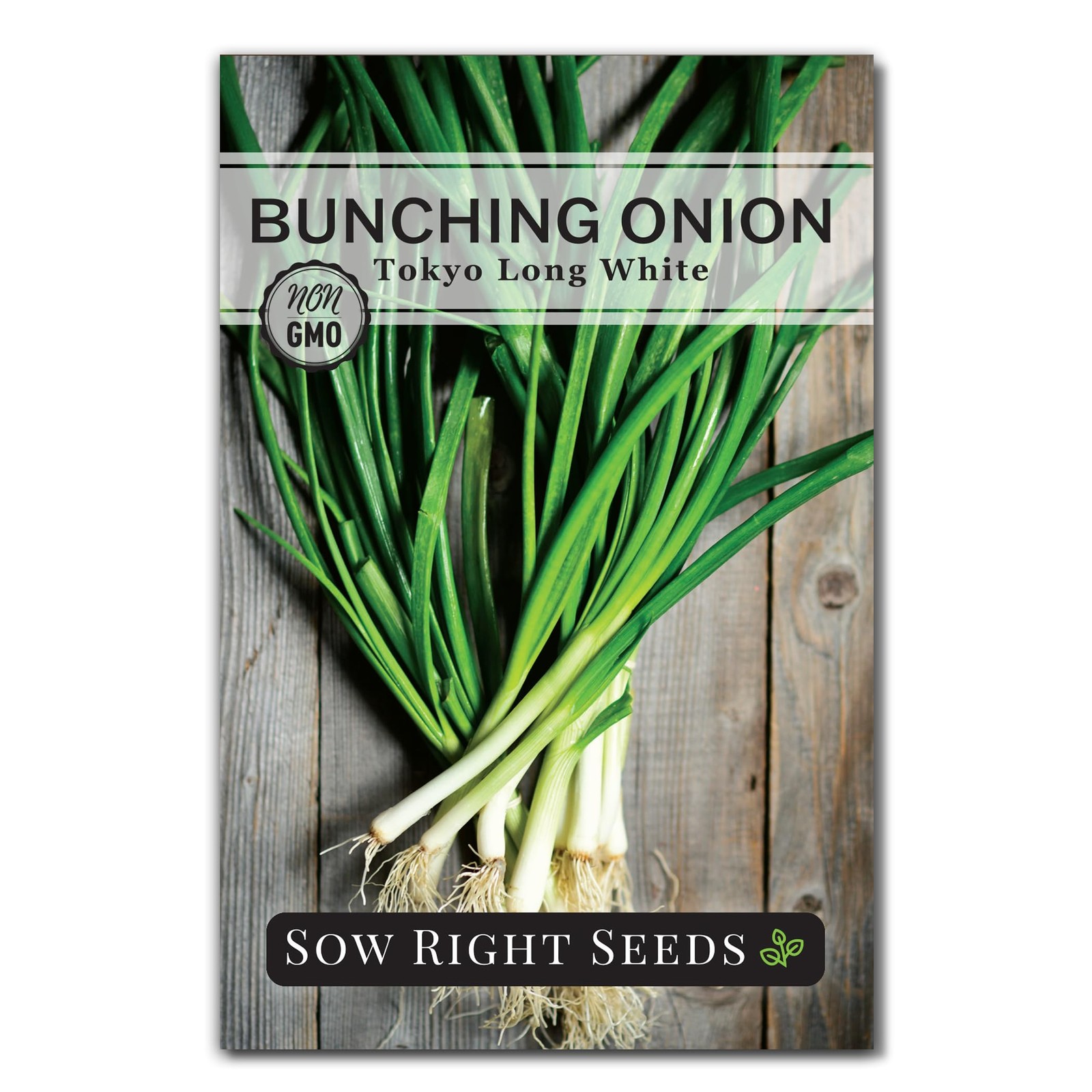 Sow Right Seeds – Tokyo Long White Bunching Onion for Green,