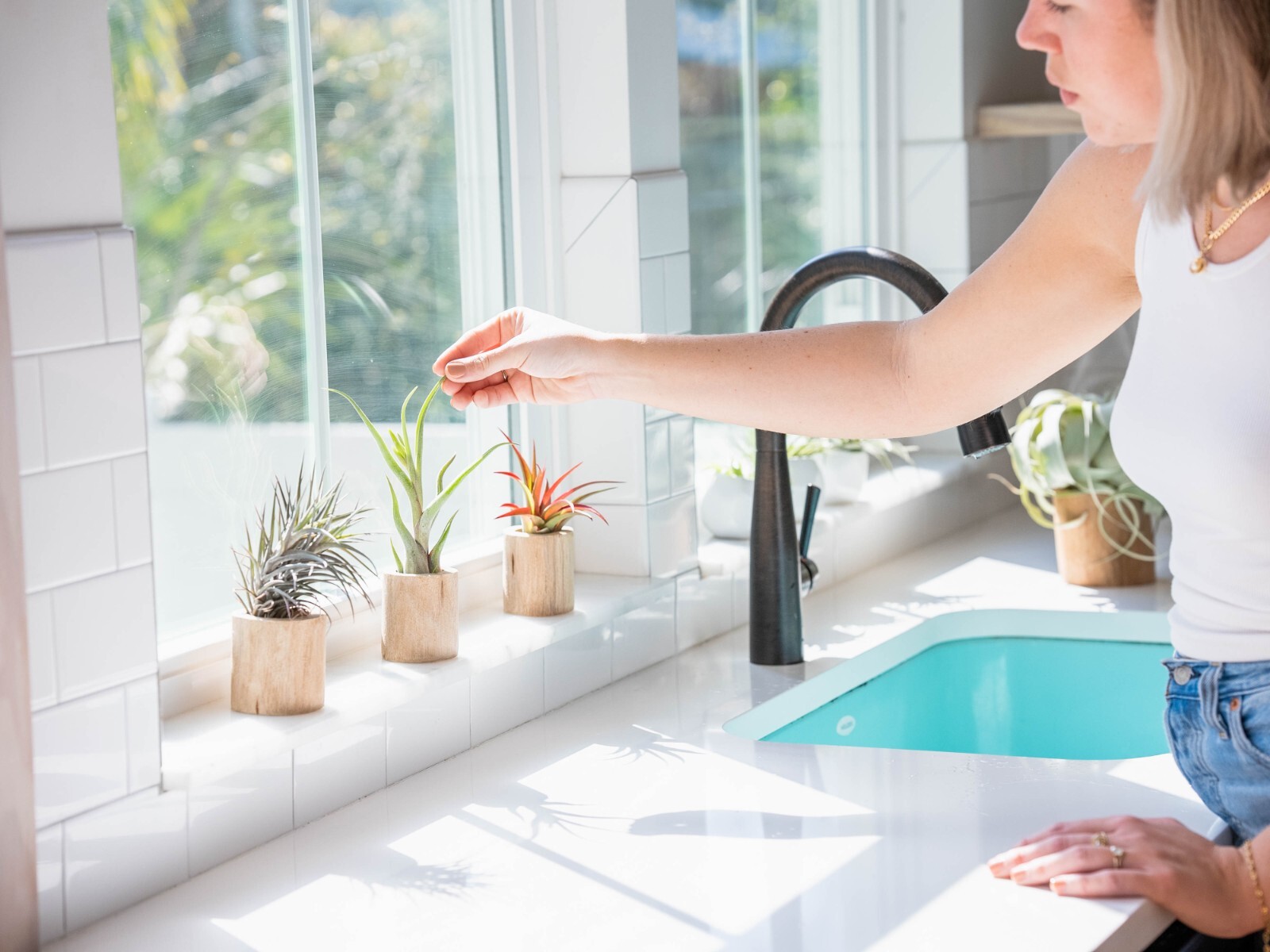 Gray Ceramic Holder with Live Air Plants – Easy Indoor Outdoor Home Decor