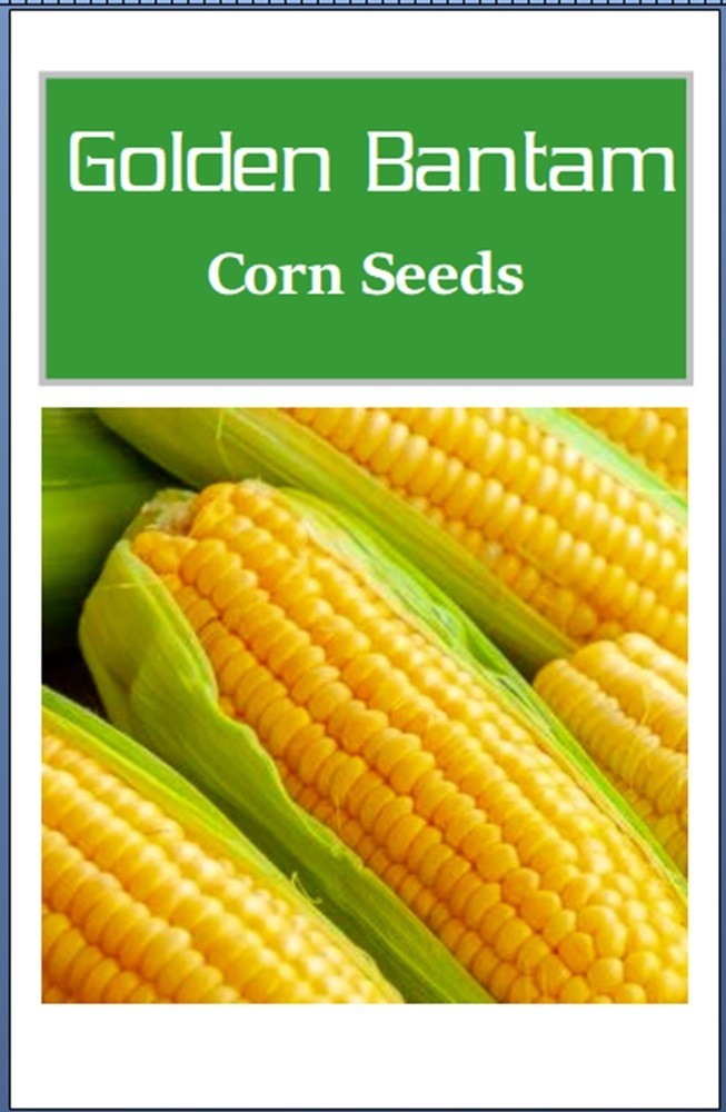 Golden Bantam Corn Seeds | Non-GMO | Heirloom | Fresh Garden Seeds