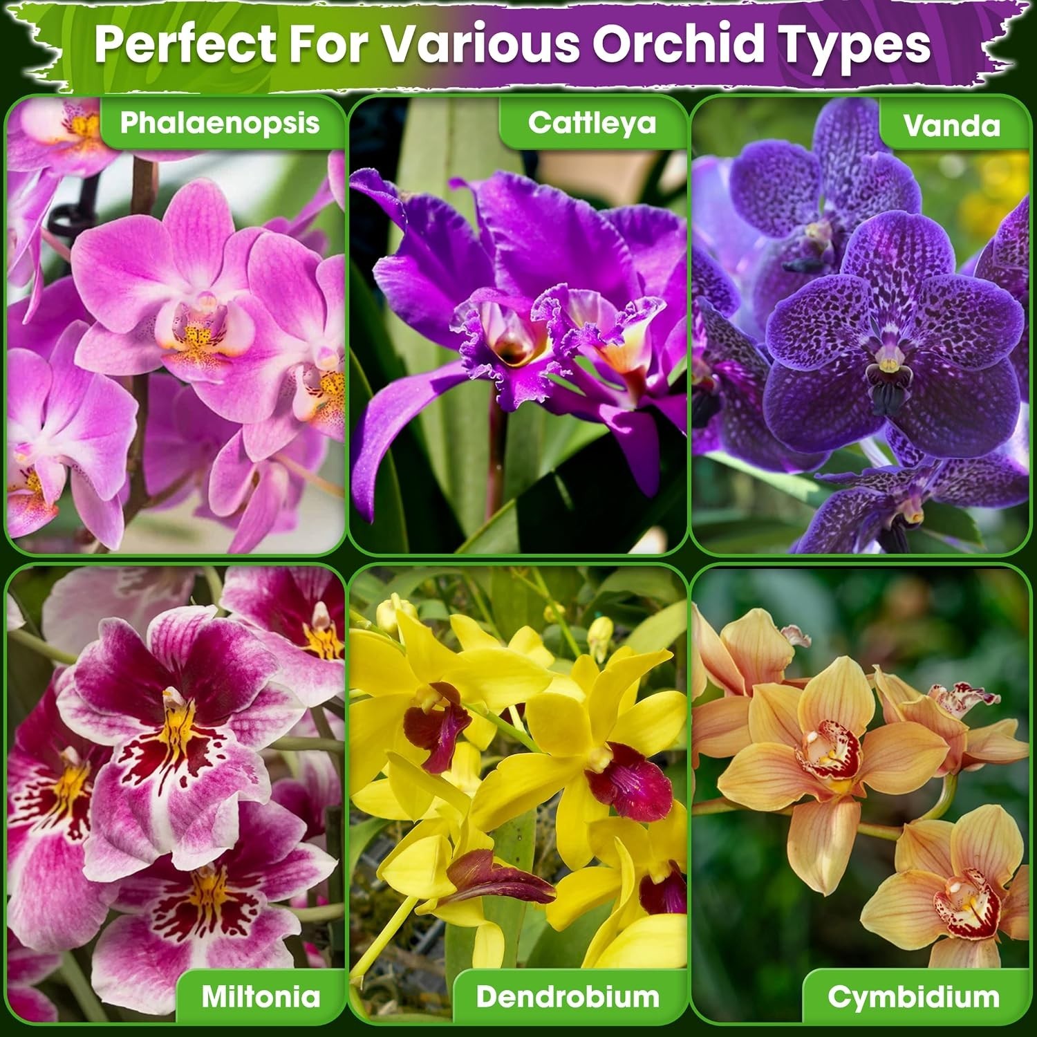 Orchid Bark Potting Mix with Moss & Bark