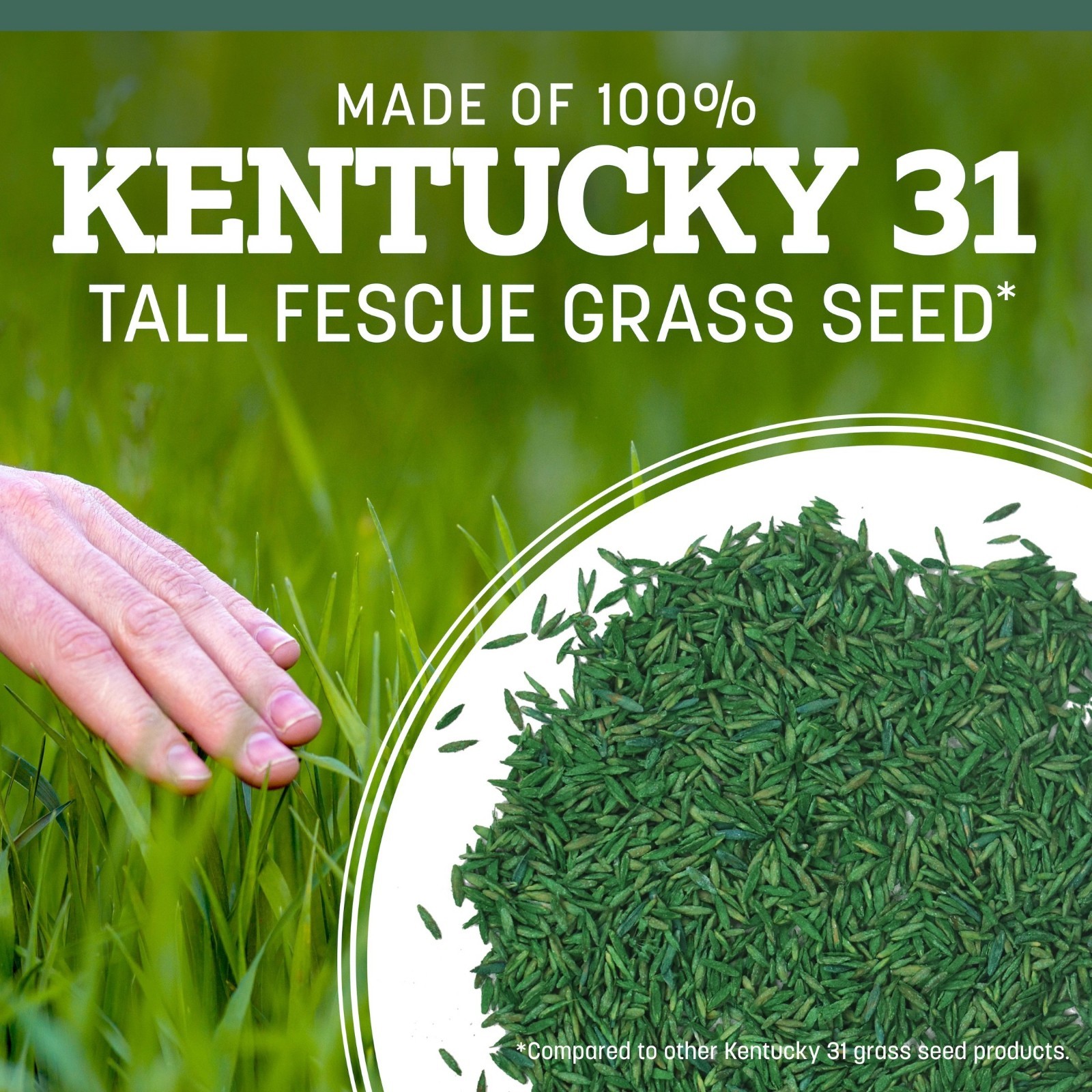 Pennington Kentucky 31 Tall Fescue Grass Seed Sun to Partial Shade 7- 20 lb Bag