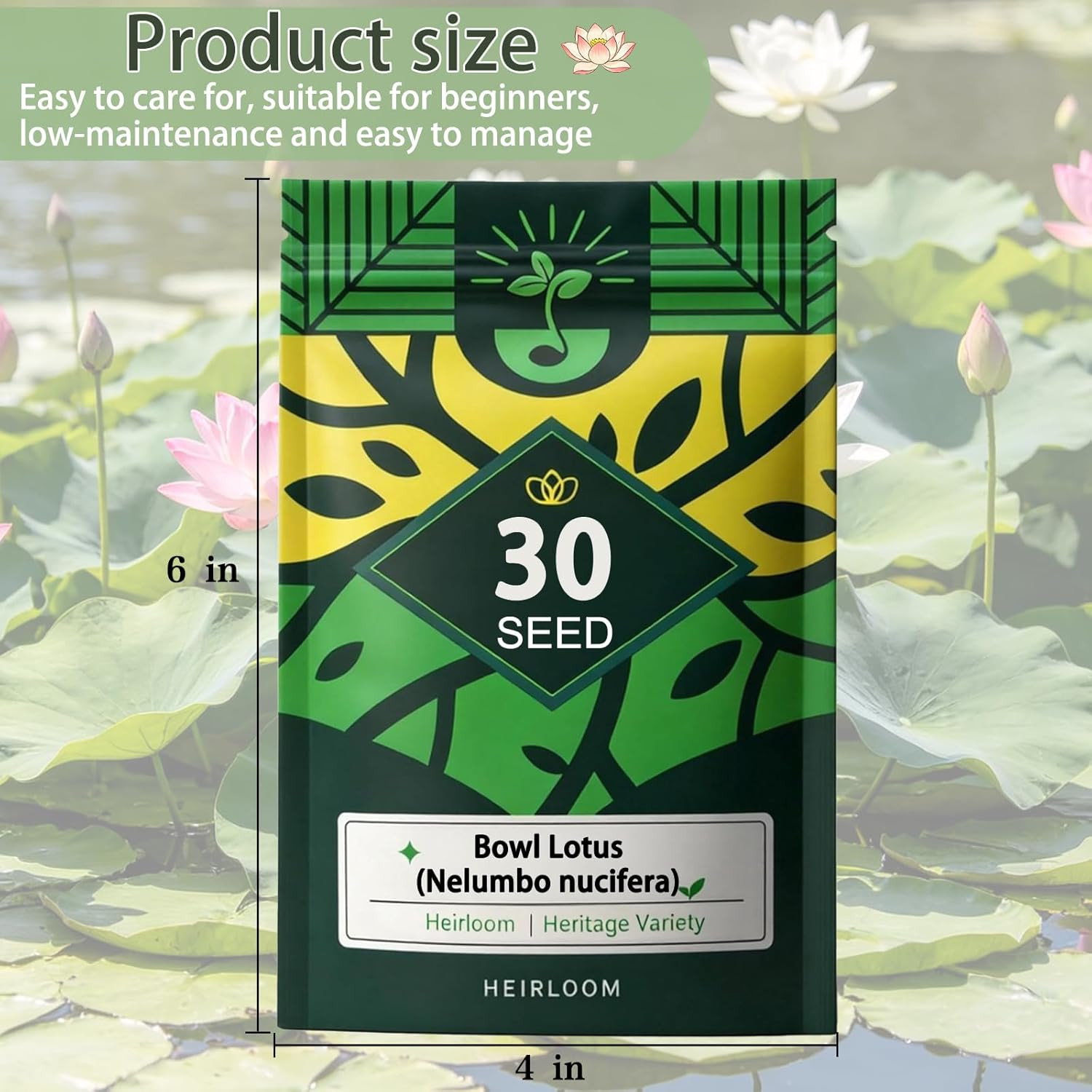 Bowl Lotus Seeds (Nelumbo Nucifera), Dwarf Patio Pond Variety, Pack of 30 Seeds