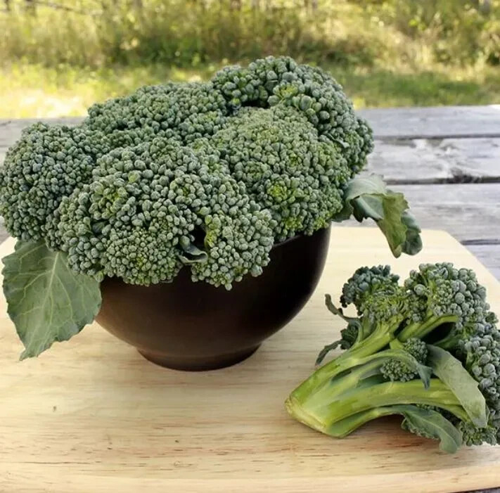 500 WALTHAM 29 BROCCOLI SEEDS ~ heirloomseedguy ~ 2026 ~ NON-GMO