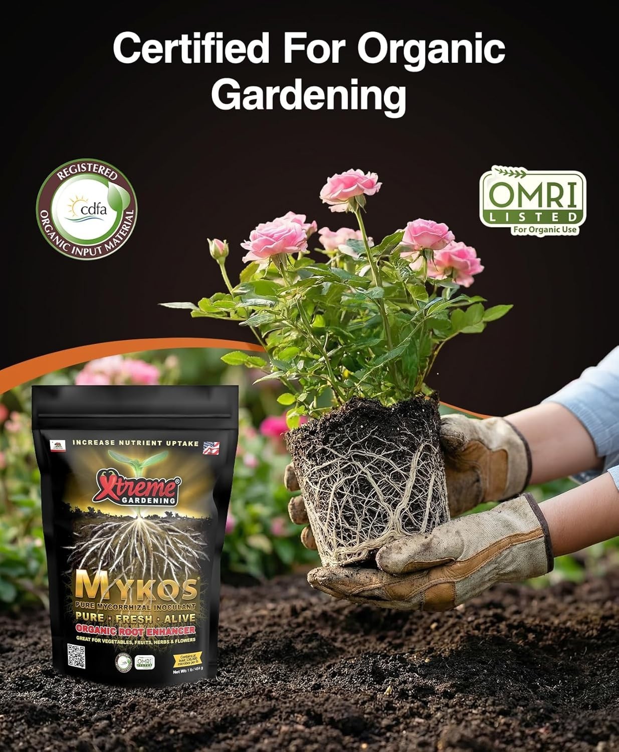 Granular Mycorrhizae Fungi for Strong Roots