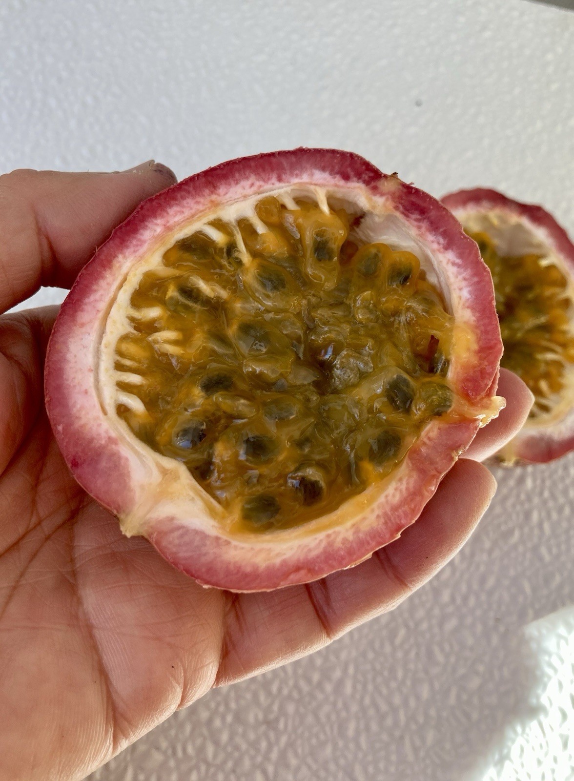 Purple Passion Fruit /Passiflora Edulis Live Plants 12″ Tall Planted In A 4″ Pot