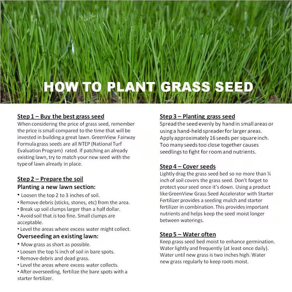 50 Lbs. Perennial Ryegrass Blend