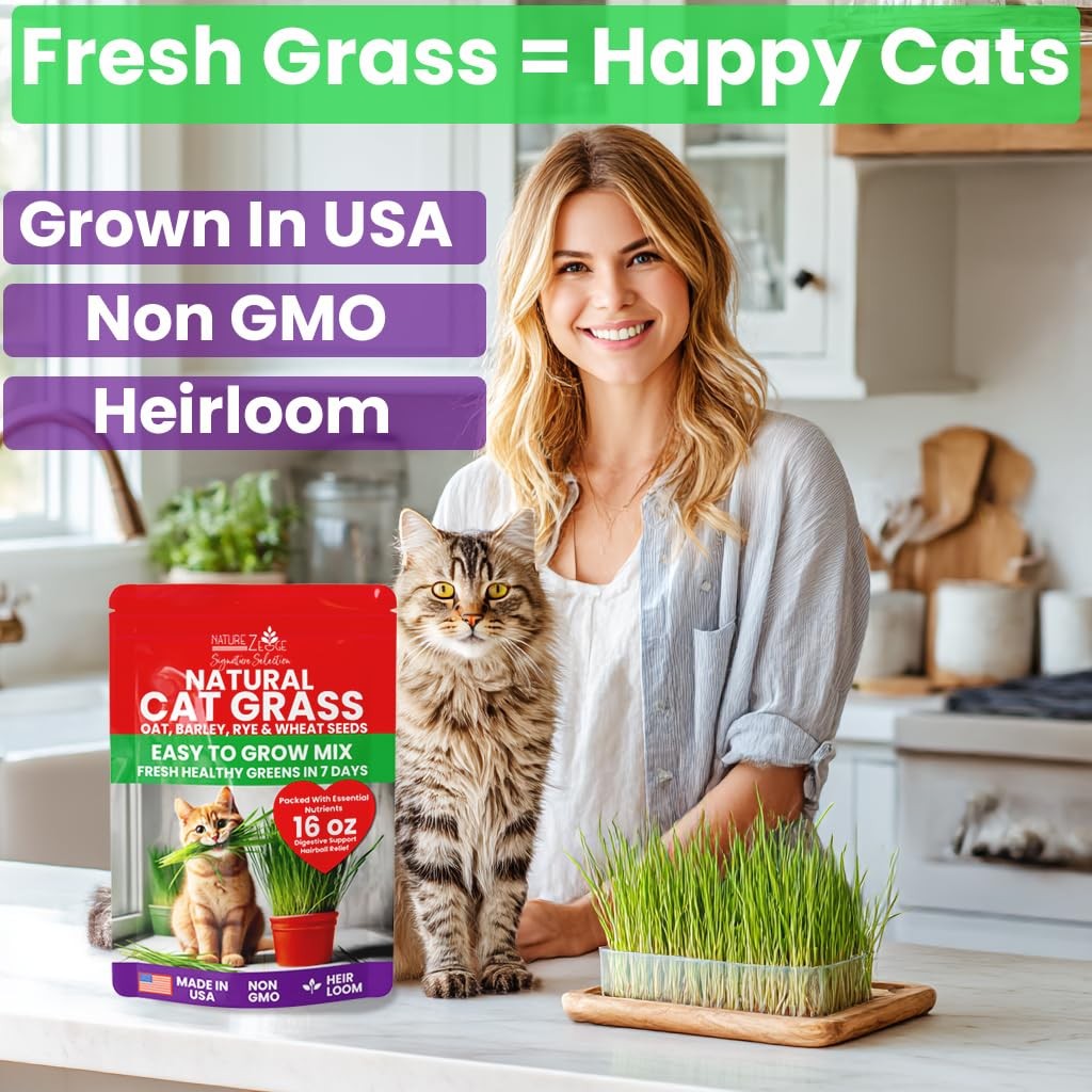 Premium Cat Grass Seeds for Indoor Cats, Non GMO – 1 lb Oat, Wheat, Barley & …