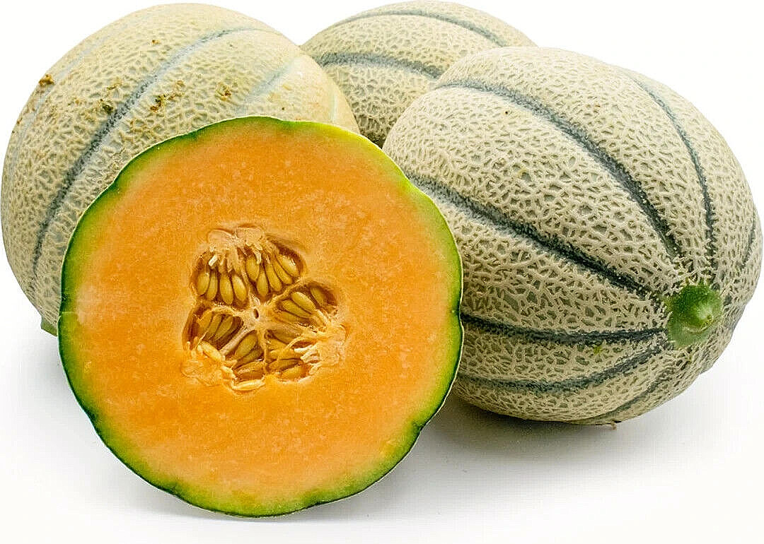50 Super Sweet Tuscan Cantaloupe Seeds – Free Shipping – The Italian Stallion