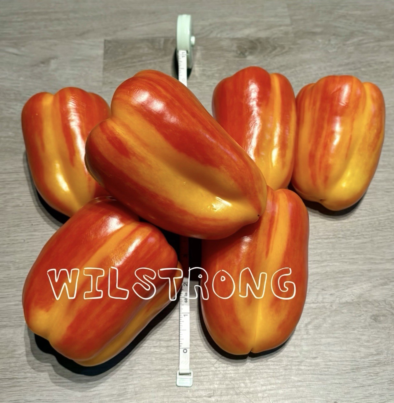 ALOHA BELL PEPPER SEEDS! 100+ SEEDS