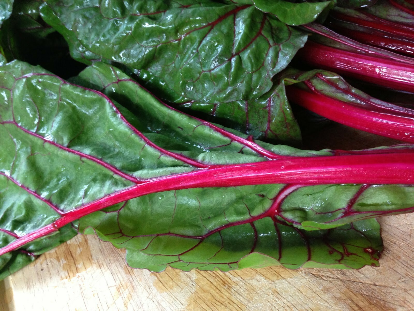 100+ Ruby Red Swiss Chard Seeds Heirloom NON-GMO Always Fresh For Your Garden