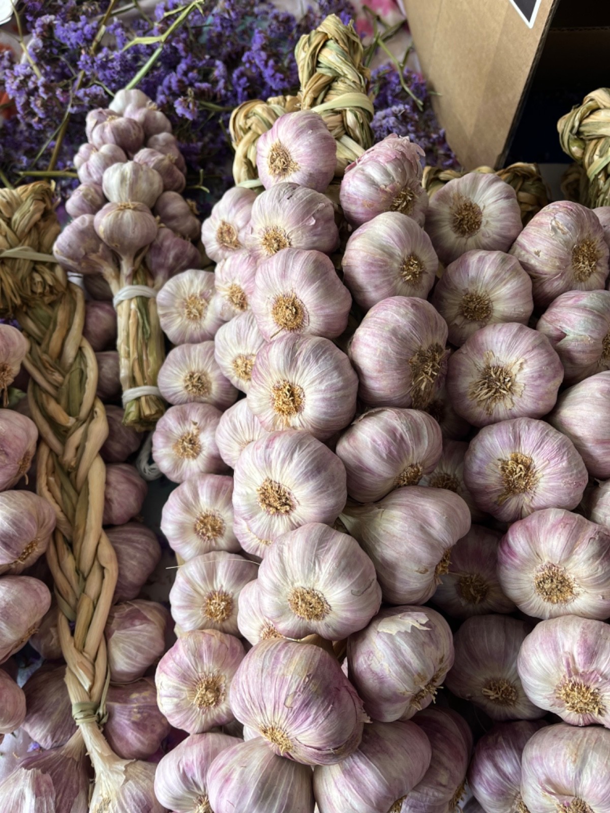 15 Bulb Garlic Braids Certified Organic USA Spicy Purple Stripe Non GMO