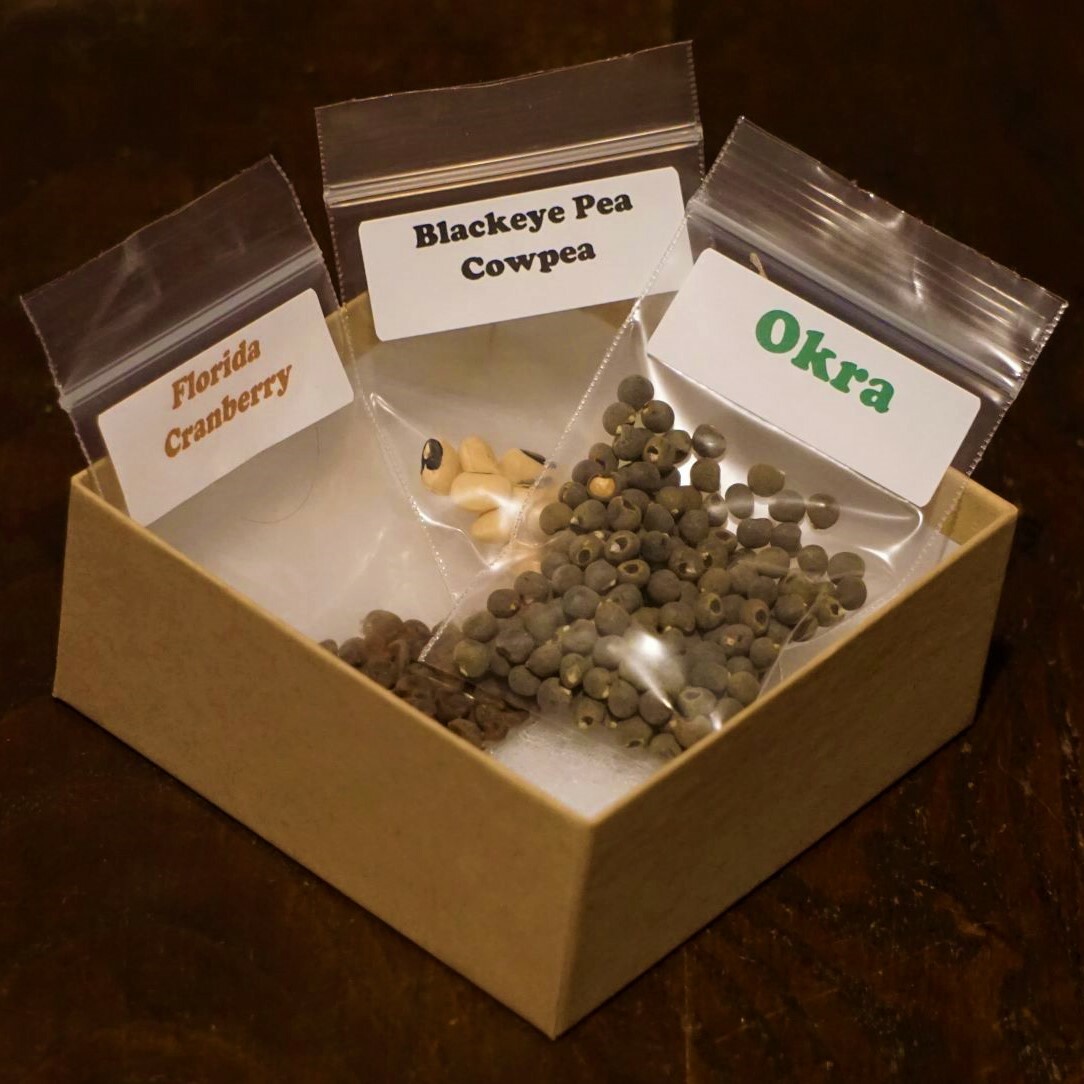 Florida Summer Garden Seed Box, Organic/Heirloom Seed Varieties,