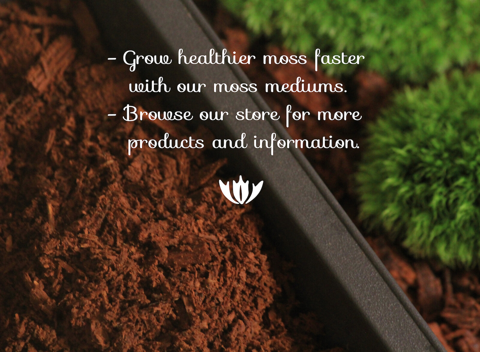 MOSS GROW ADDITIVE – sifted x-fine ACIDIFIER amendment – Conifer rot wood Medium