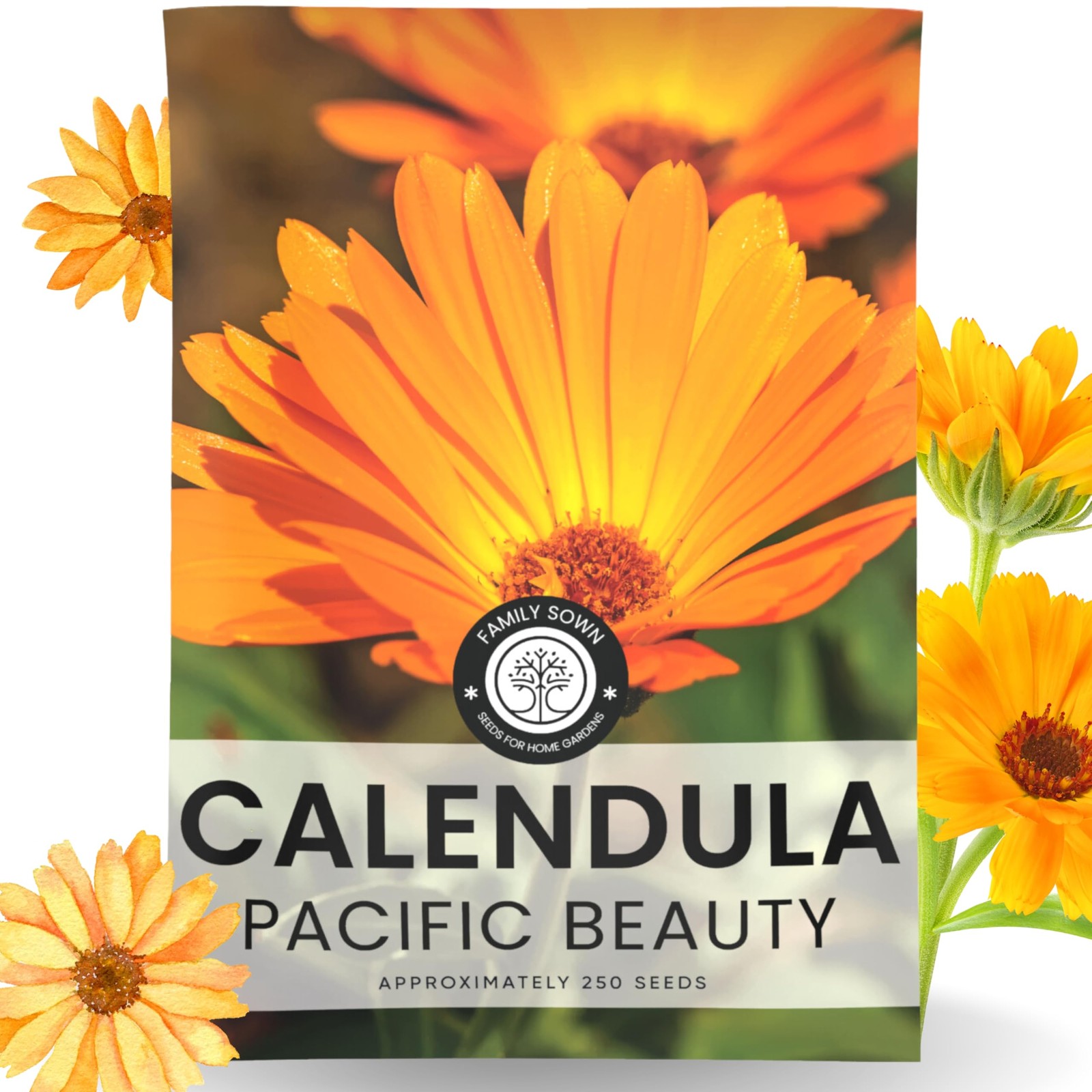 Calendula Pacific Beauty – Large 2,500mg 0.09 oz Envelope (250 Seeds)