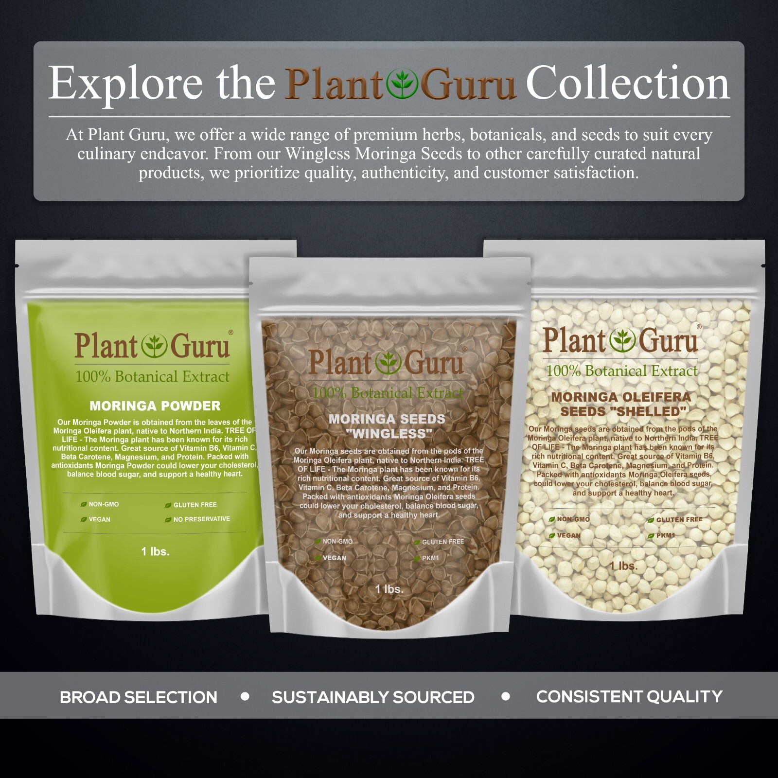 400 Moringa Oleifera Seeds 1 oz. (4 Pack) WINGLESS Fresh Semillas de Moringa