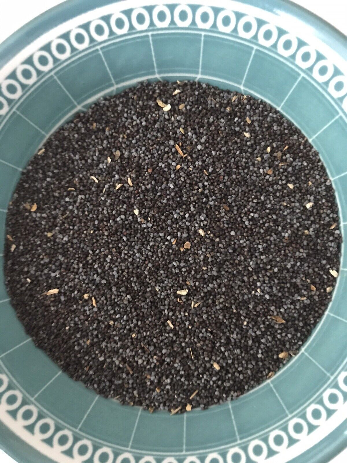 PRIORITY SHIPPING 3 Pounds UK 🇬🇧 Papaver Poppy Seeds Excellent Priority