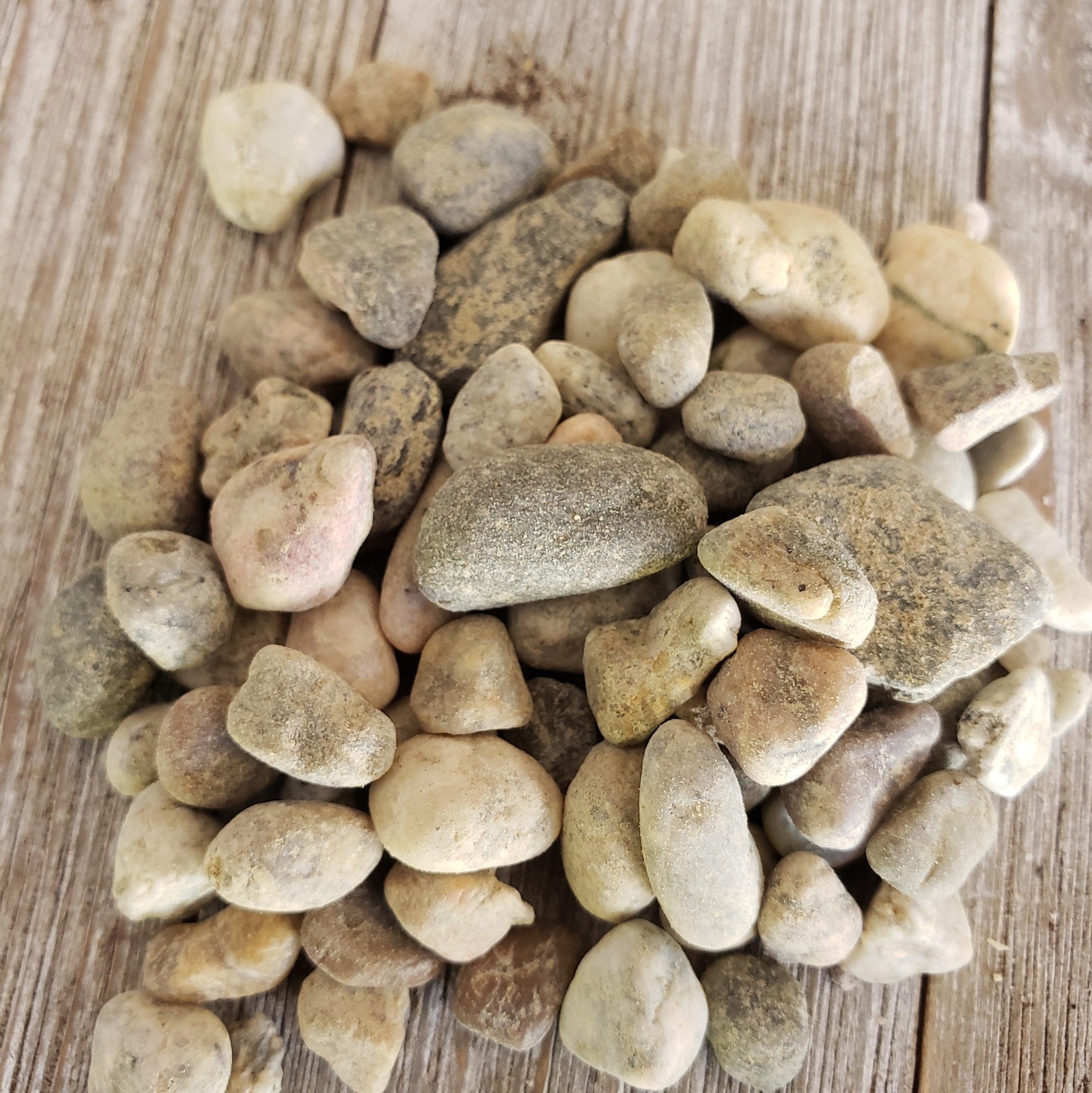 1 Lb 3/8 Del rio pebble river rock Cactus and Succulent Top Soil Dressing cactus
