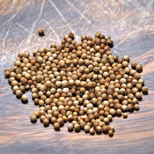 Cilantro/Coriander FIESTA GREEN Kitchen Garden Culinary Herb Non-GMO 100 Seeds