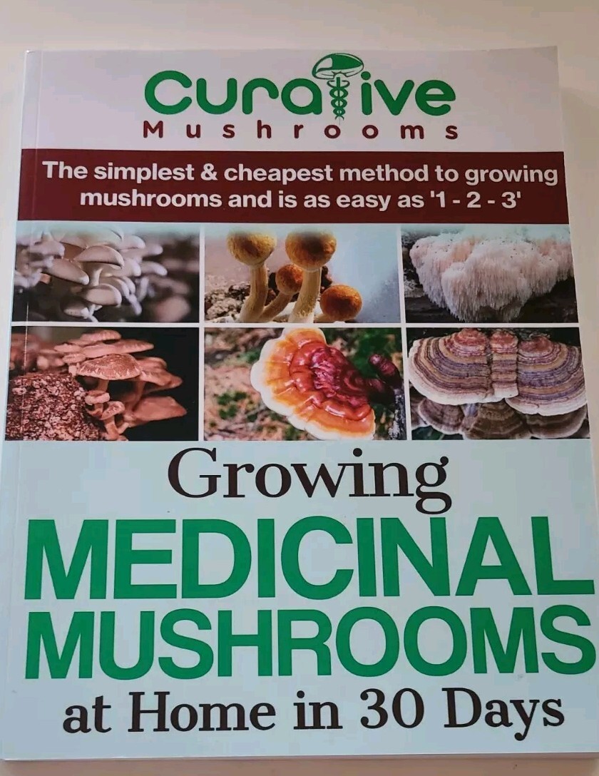 Curative Mushrooms Growing Medicinal Mushrooms At Home In 30 Days
