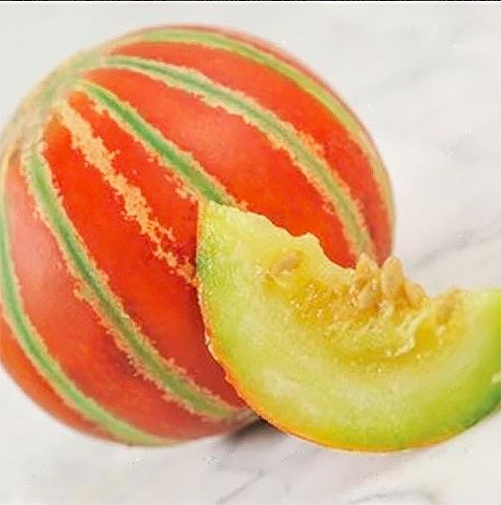 5 PCS Kajari Melon Seeds Sweet White Green Orange Fruit Planting Garden