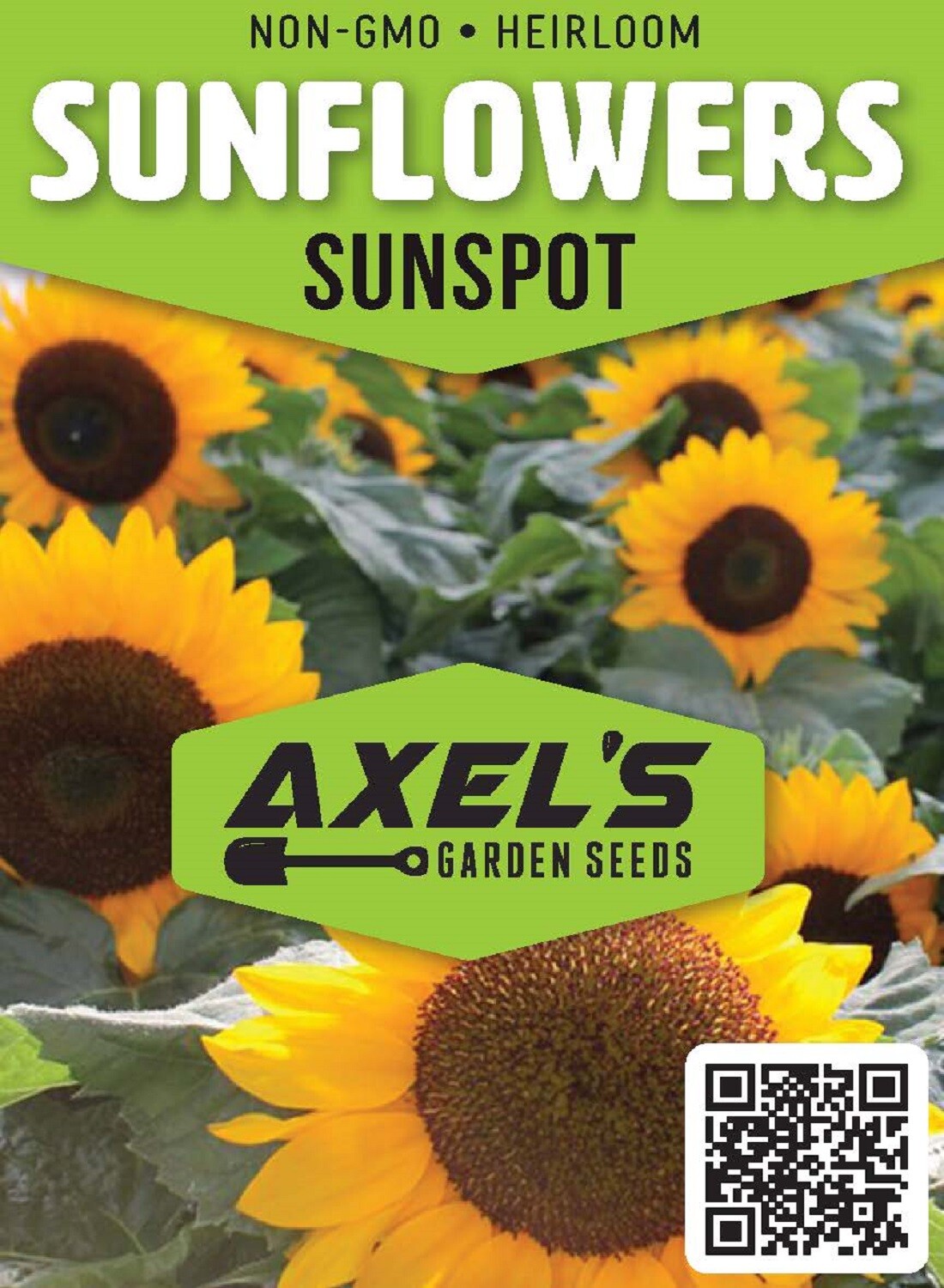 Bulk Sunflower Seeds Mix – Heirloom Non-Gmo Flower Seeds for Home Garden