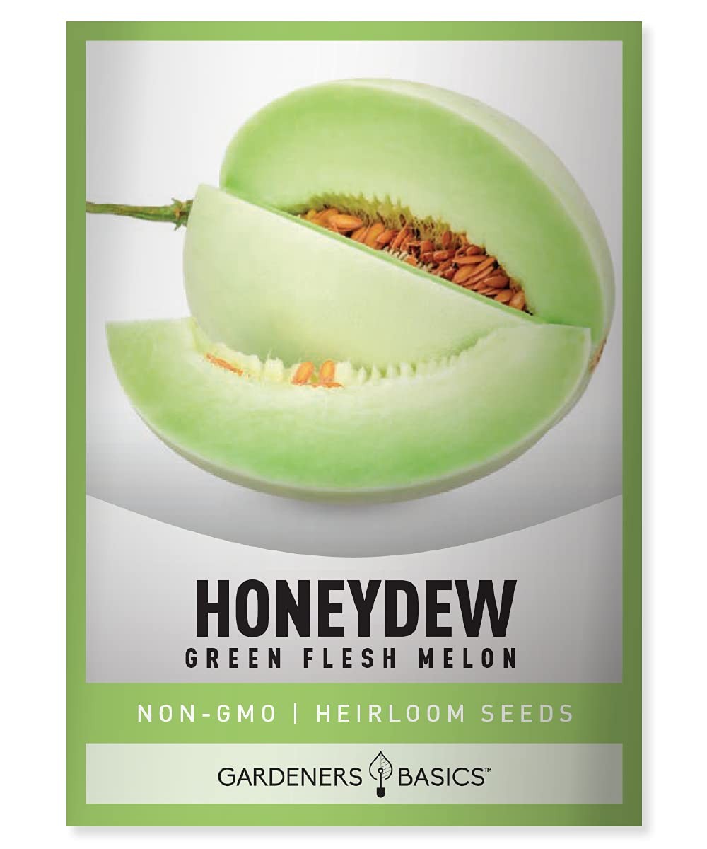 , Honeydew Seeds for Planting – Green Flesh Melon Heirloom, Non-GMO Fruit Var…