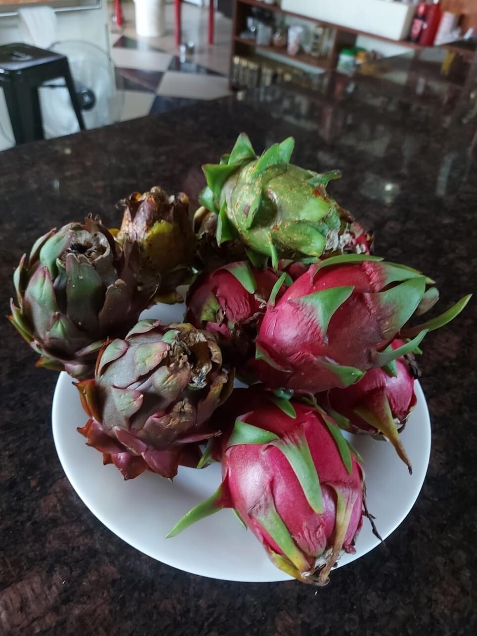 small DRAGON FRUIT CUTTINGS – MULTIPLE VARIETIES – 5″ inches for grafting