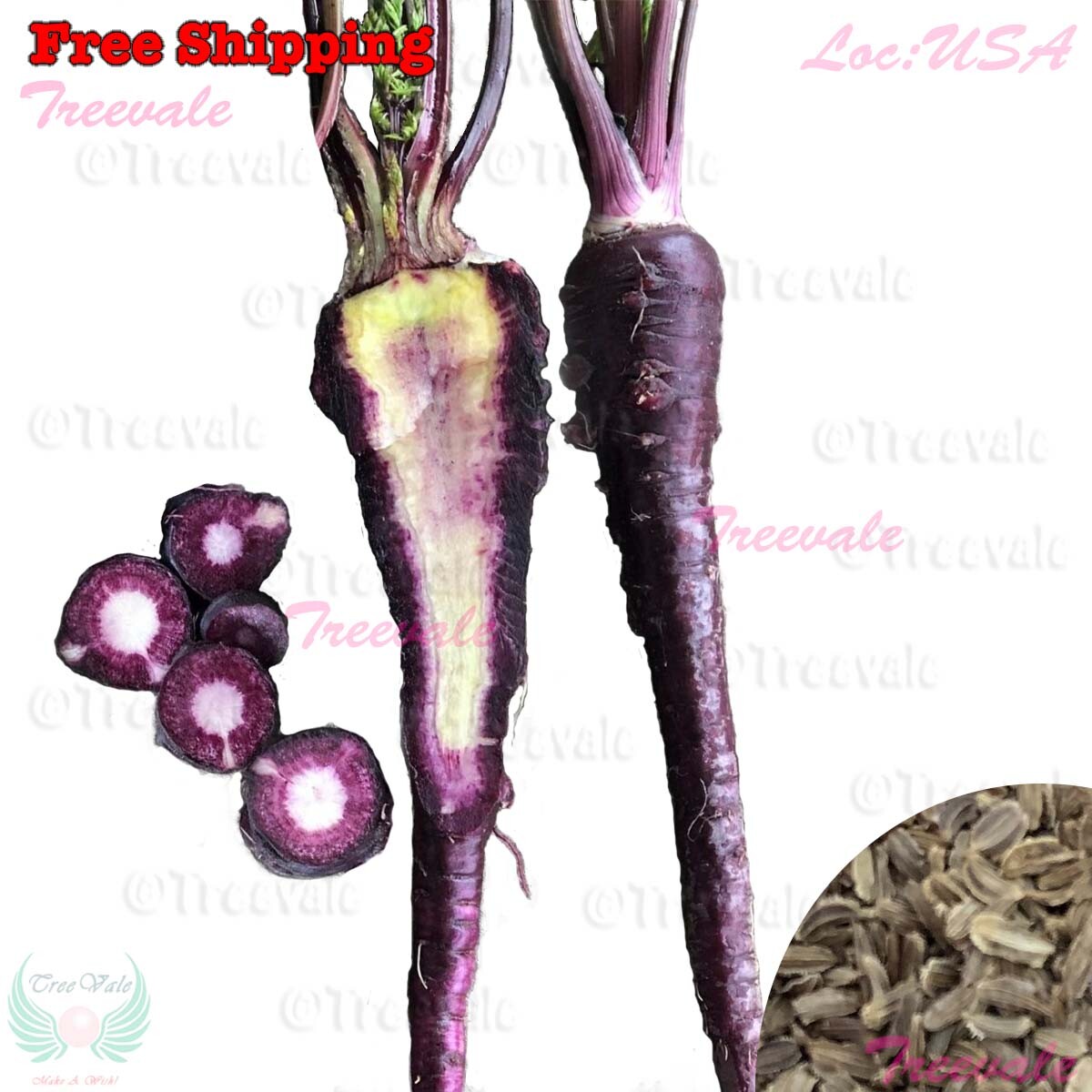 Black Nebula Carrot SEEDS | Black Carrots, Dark Purple Carrot, Vegetable Seeds