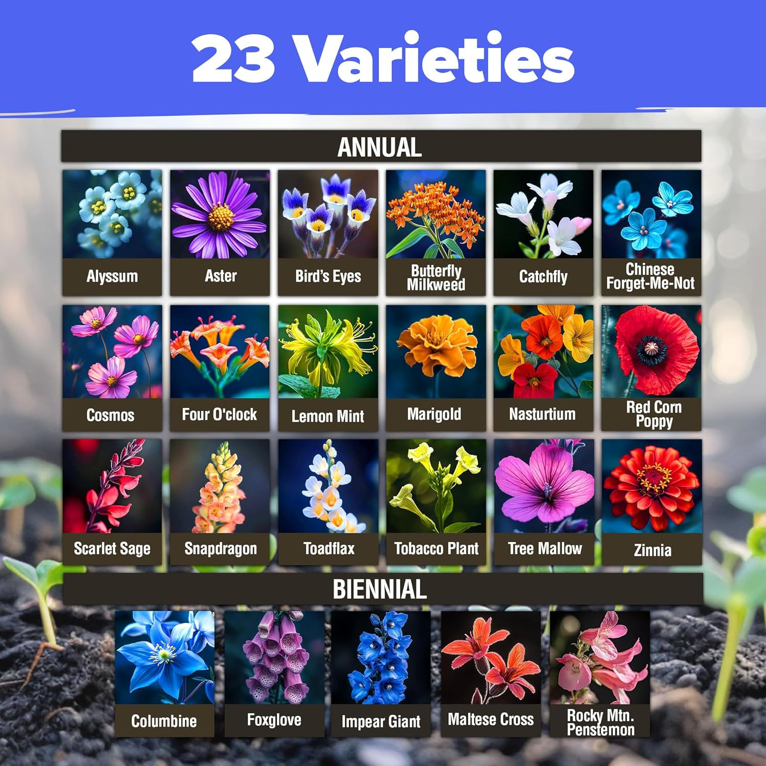 HOME GROWN Wildflower Seeds – 130,000+ Pure, No Filler, Birds & Butterflies Wild