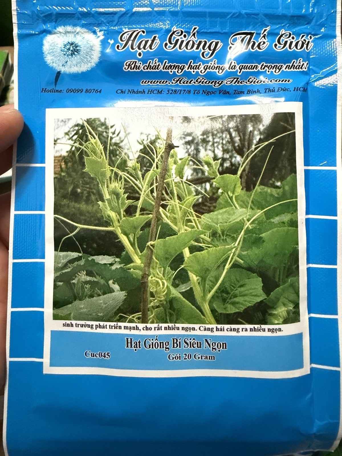 Bí Siêu Đọt
