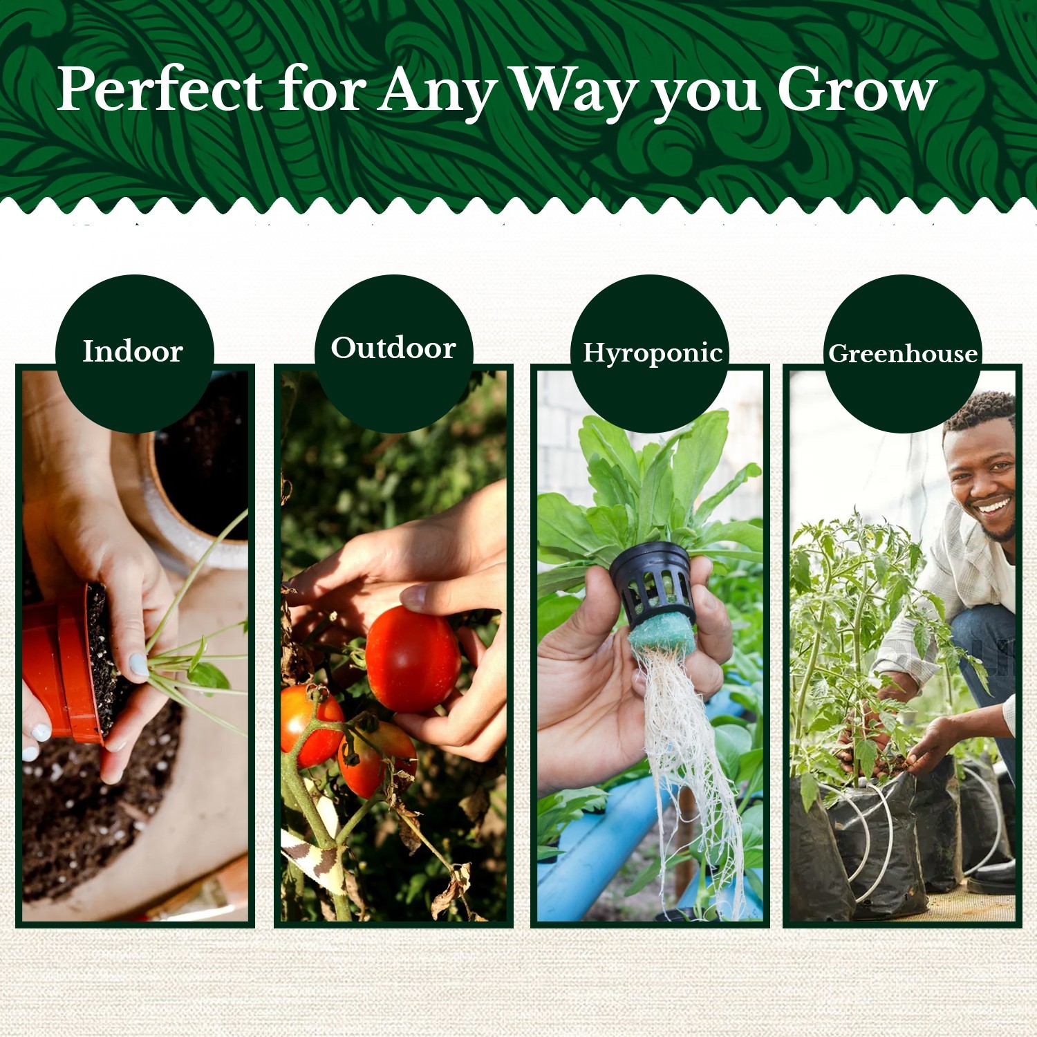 20 HERB Seeds Variety Pack Culinary Herbs Indoor Outdoors Herb Seeds, Basil & mo