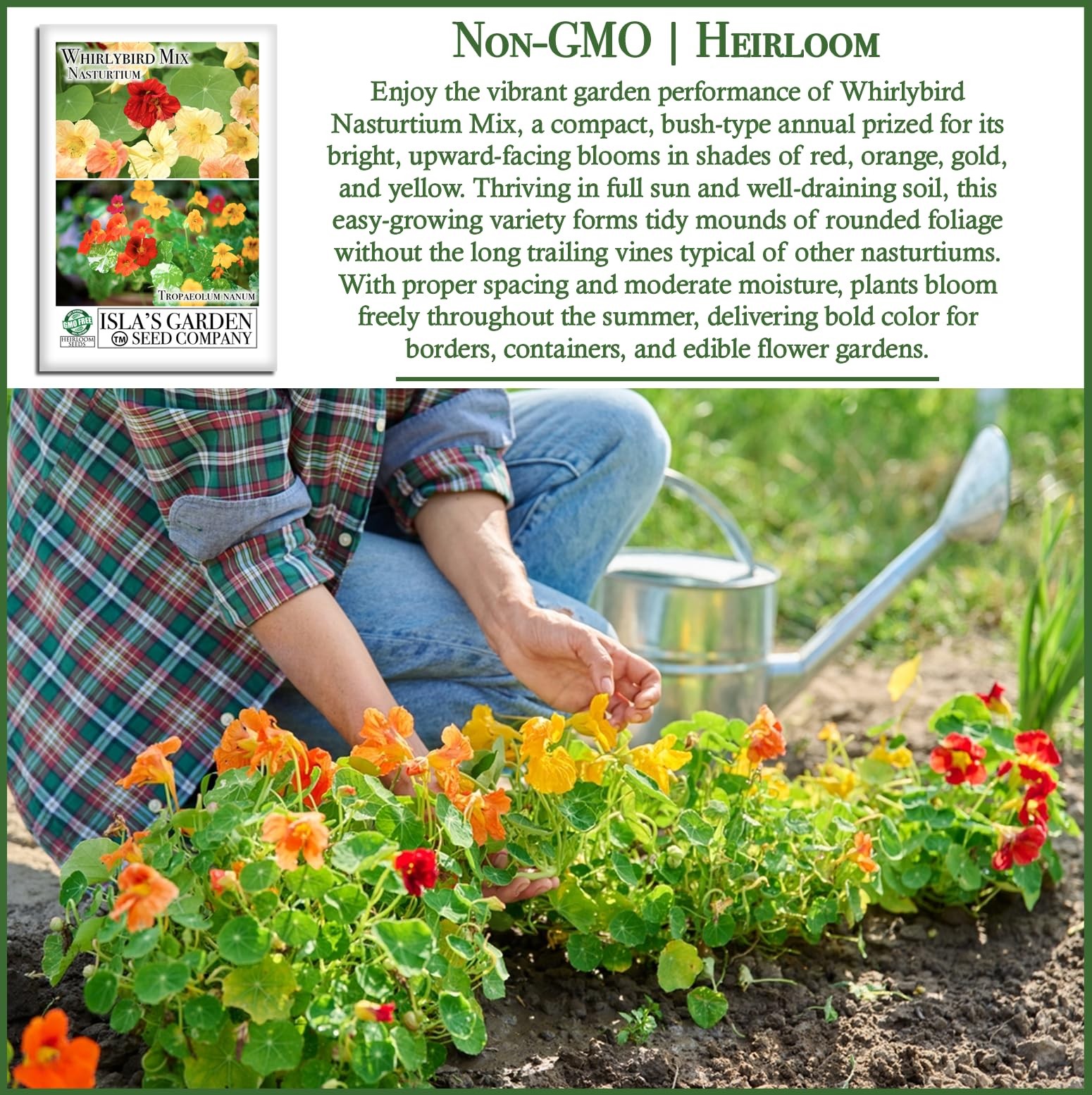 Mix Nasturtium Seeds (Tropaeolum nanum) – 50+ Heirloom Non-GMO Red
