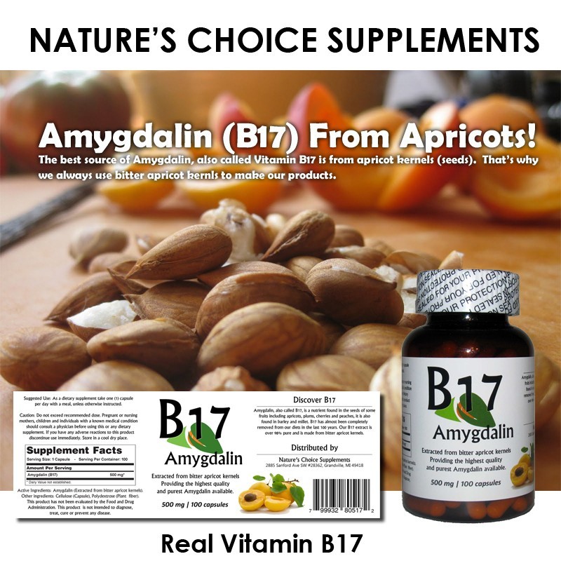 Bitter Apricot Seeds Extract Capsules 500mg