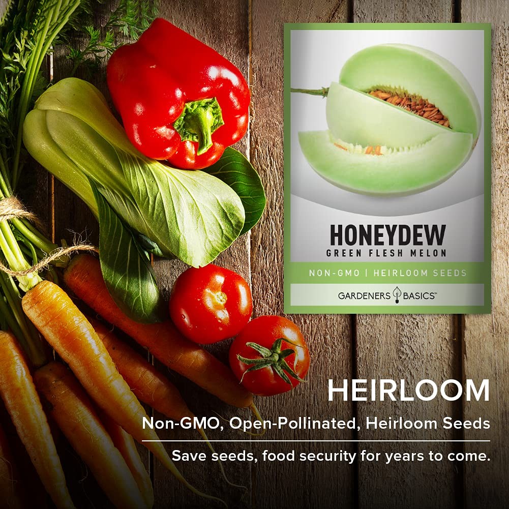 , Honeydew Seeds for Planting – Green Flesh Melon Heirloom, Non-GMO Fruit Var…