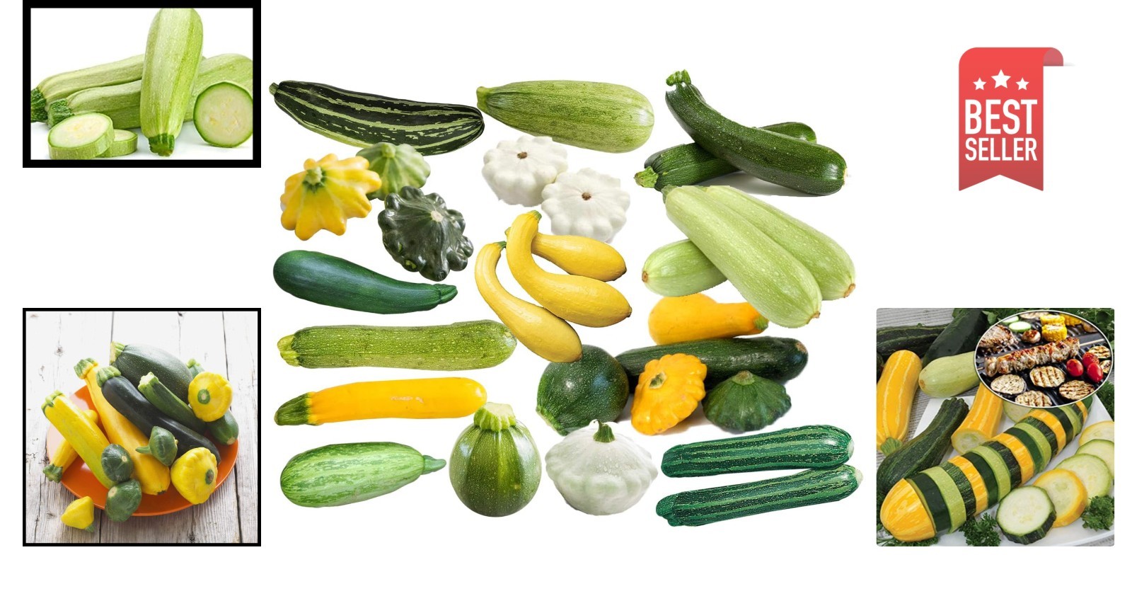 Rare 12 Variety Non-GMO Zucchini & Squash Seed Mix – 50 Seeds for Every Garden