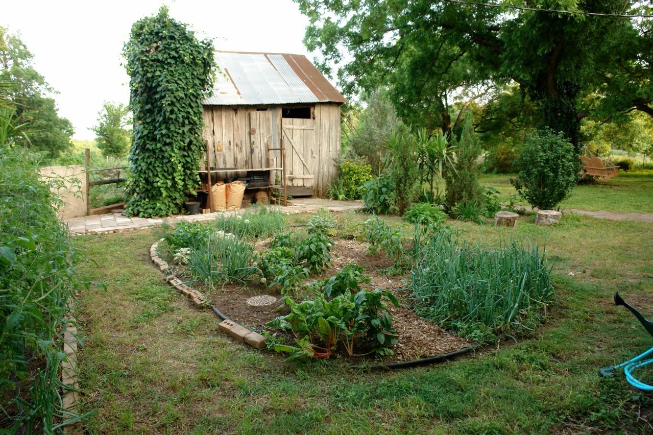 Wholesale Vegetable Seed Cache 190 Heirloom Varieties GARDEN/STORAGE non gmo