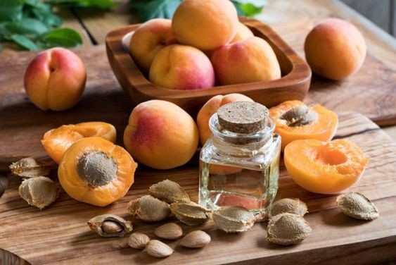 Bitter Apricot Seeds Extract Capsules 500mg