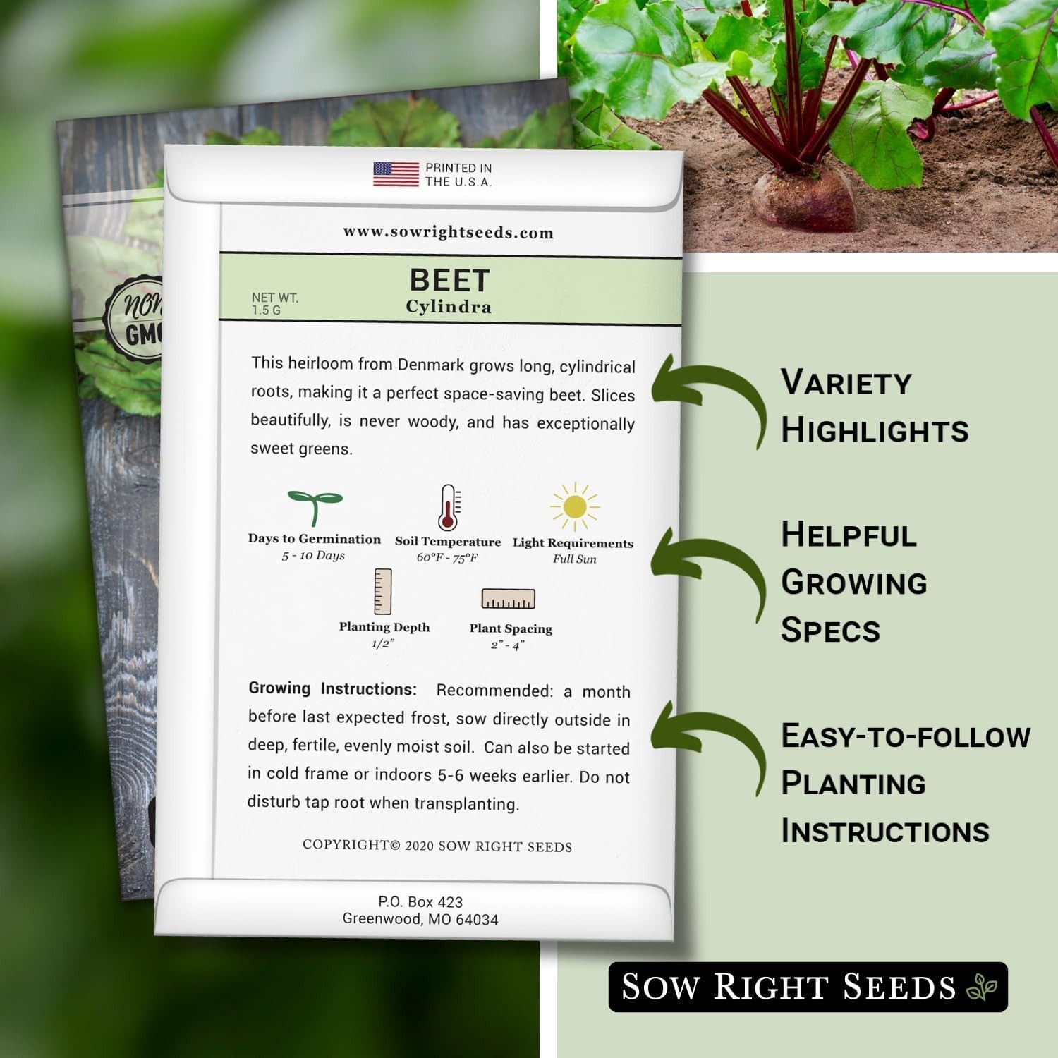 Cylindra Beet Seeds – Heirloom Seeds with Planting Instructions for Home Gardens