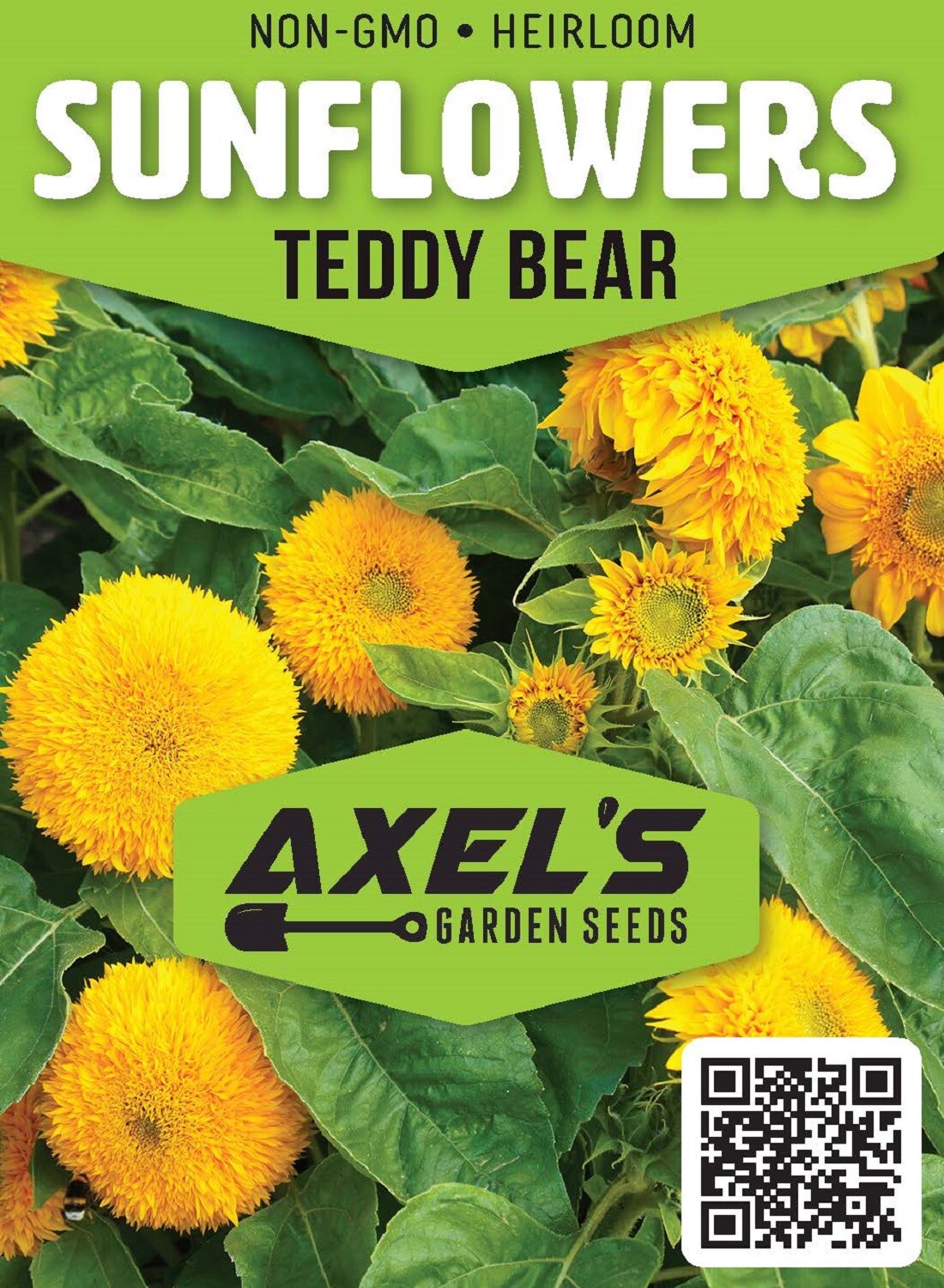 Bulk Sunflower Seeds Mix – Heirloom Non-Gmo Flower Seeds for Home Garden